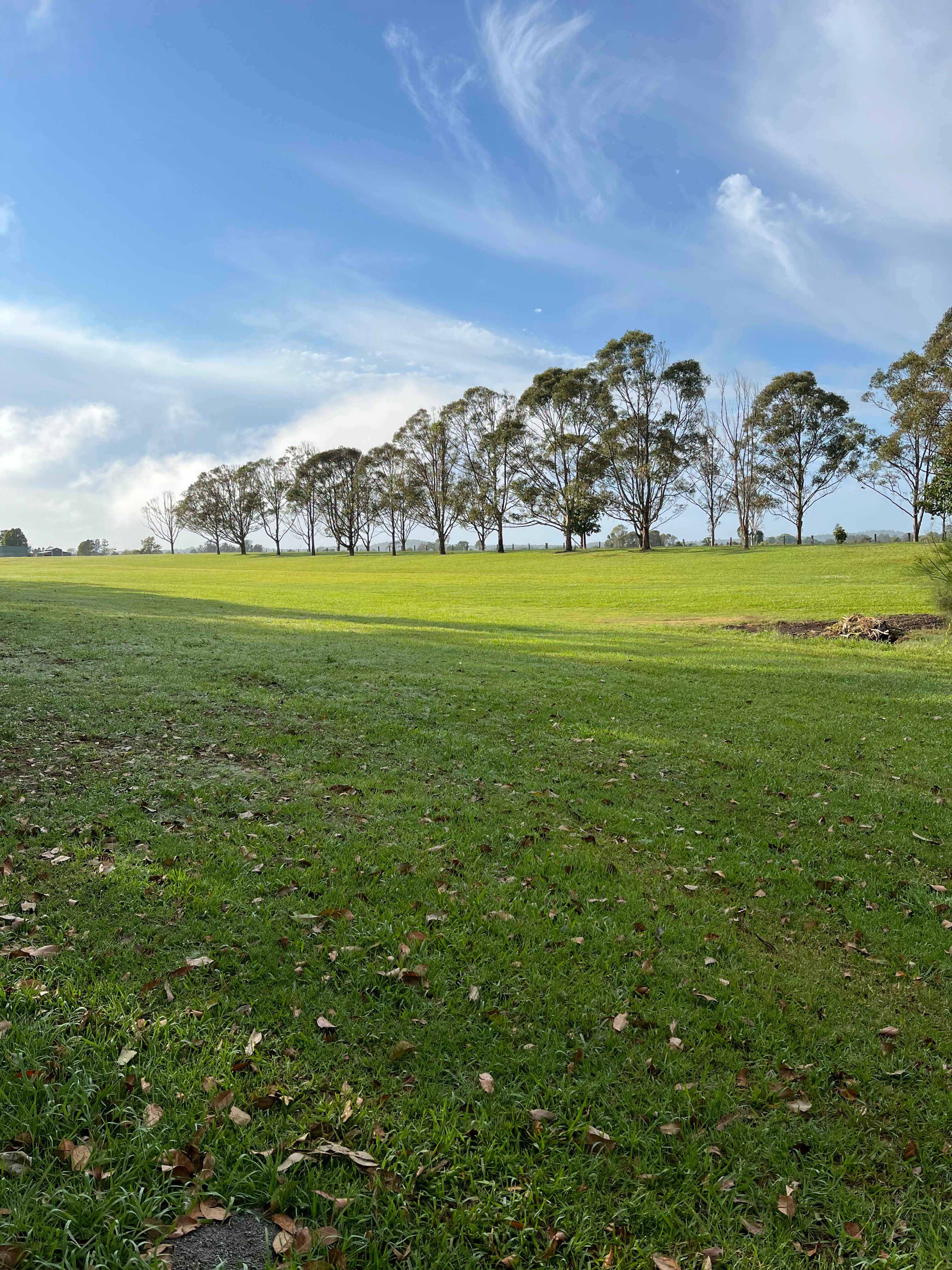 Great scenery showing lush grass