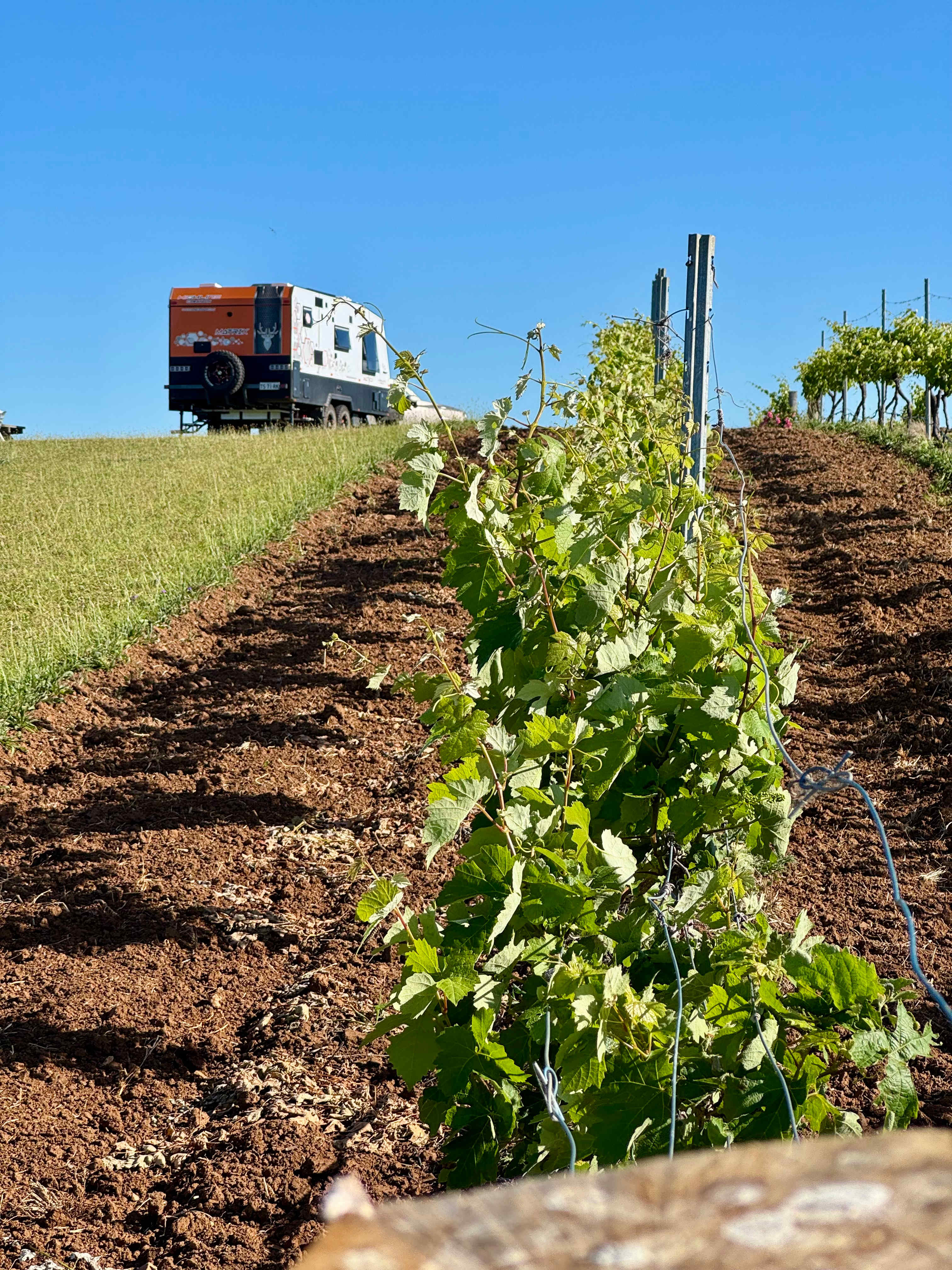 Camp spot on top of the hill