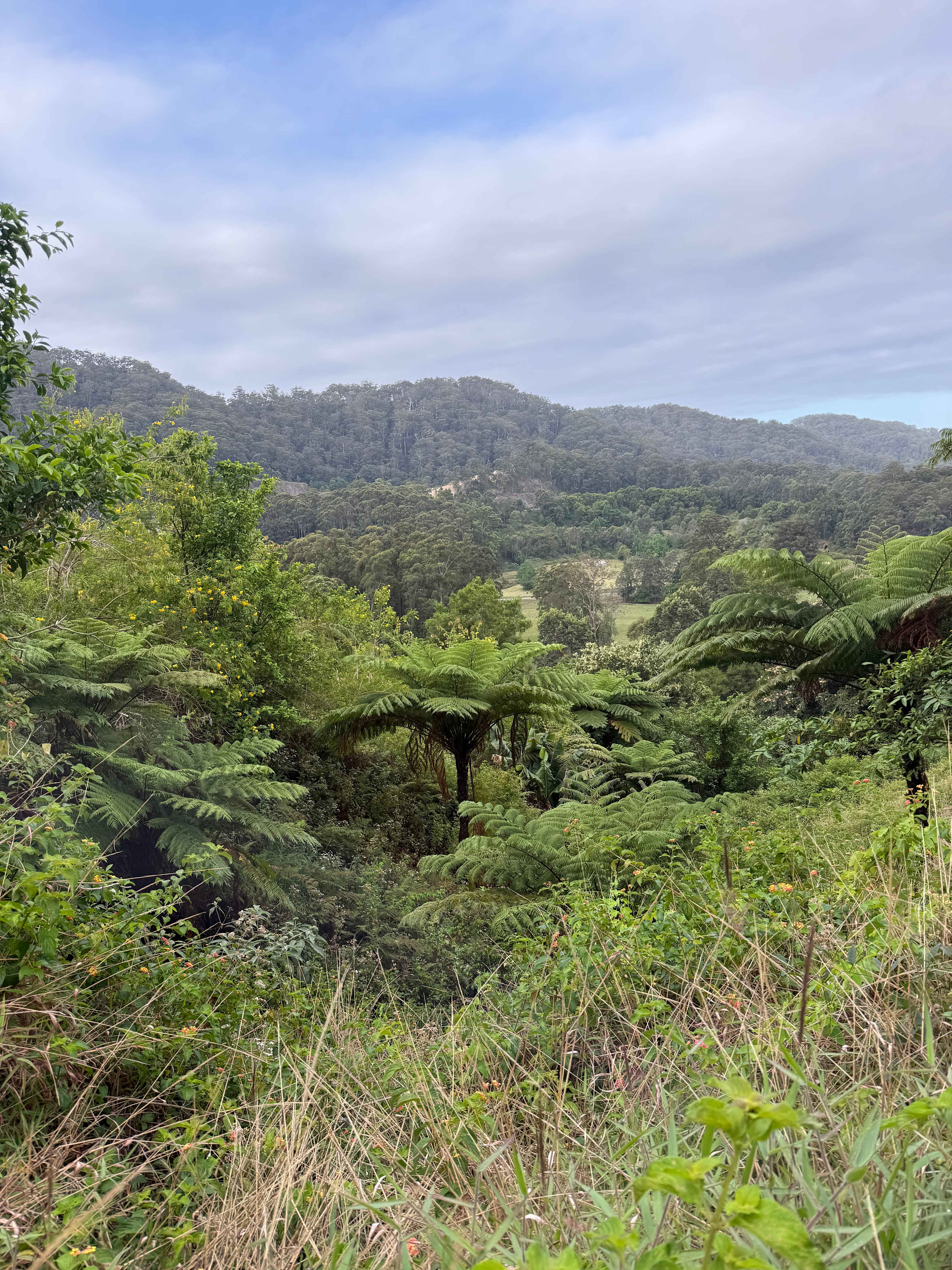 State Forest, Ocean Views