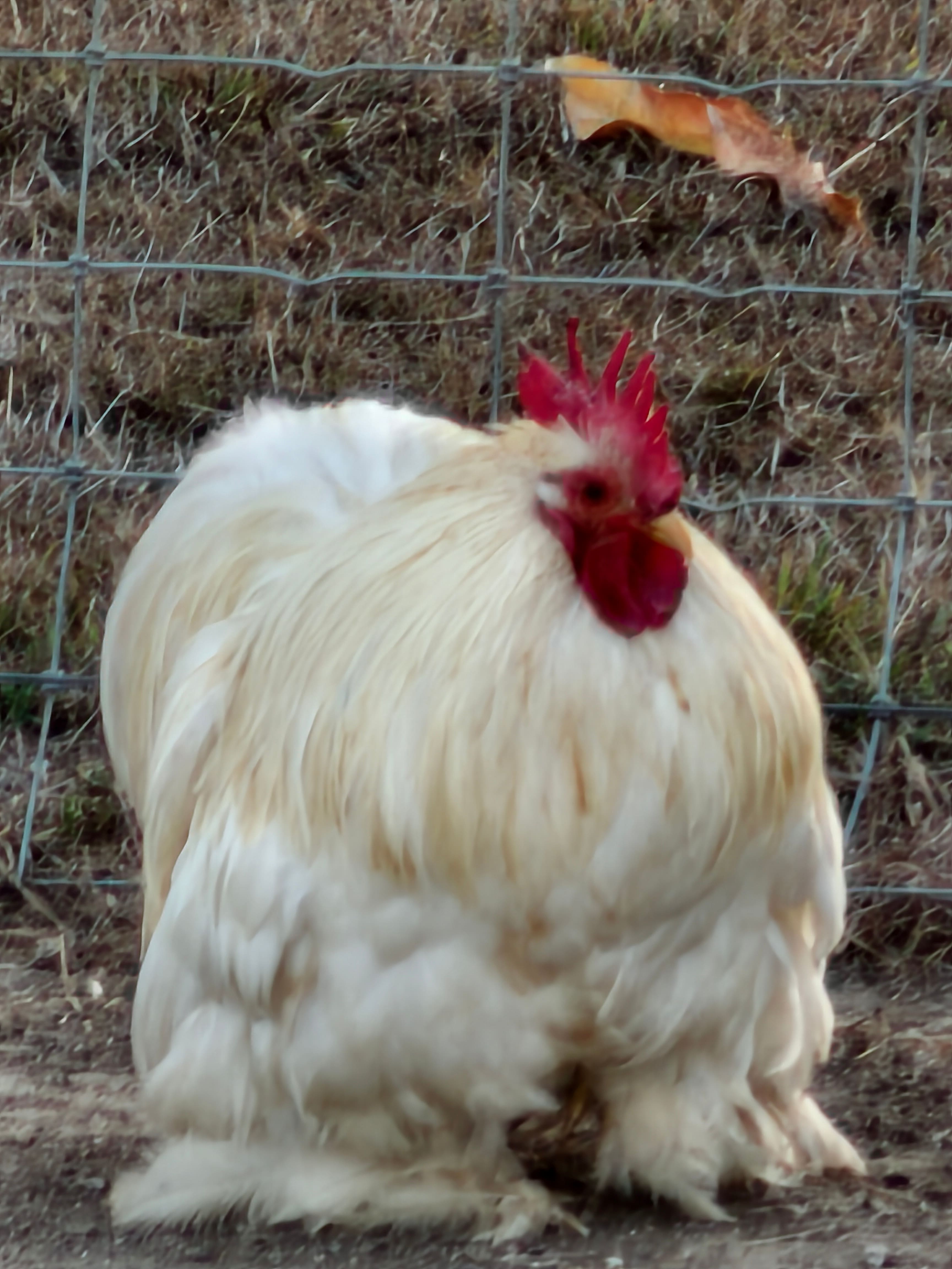 Thyme Travellers Farm Stay