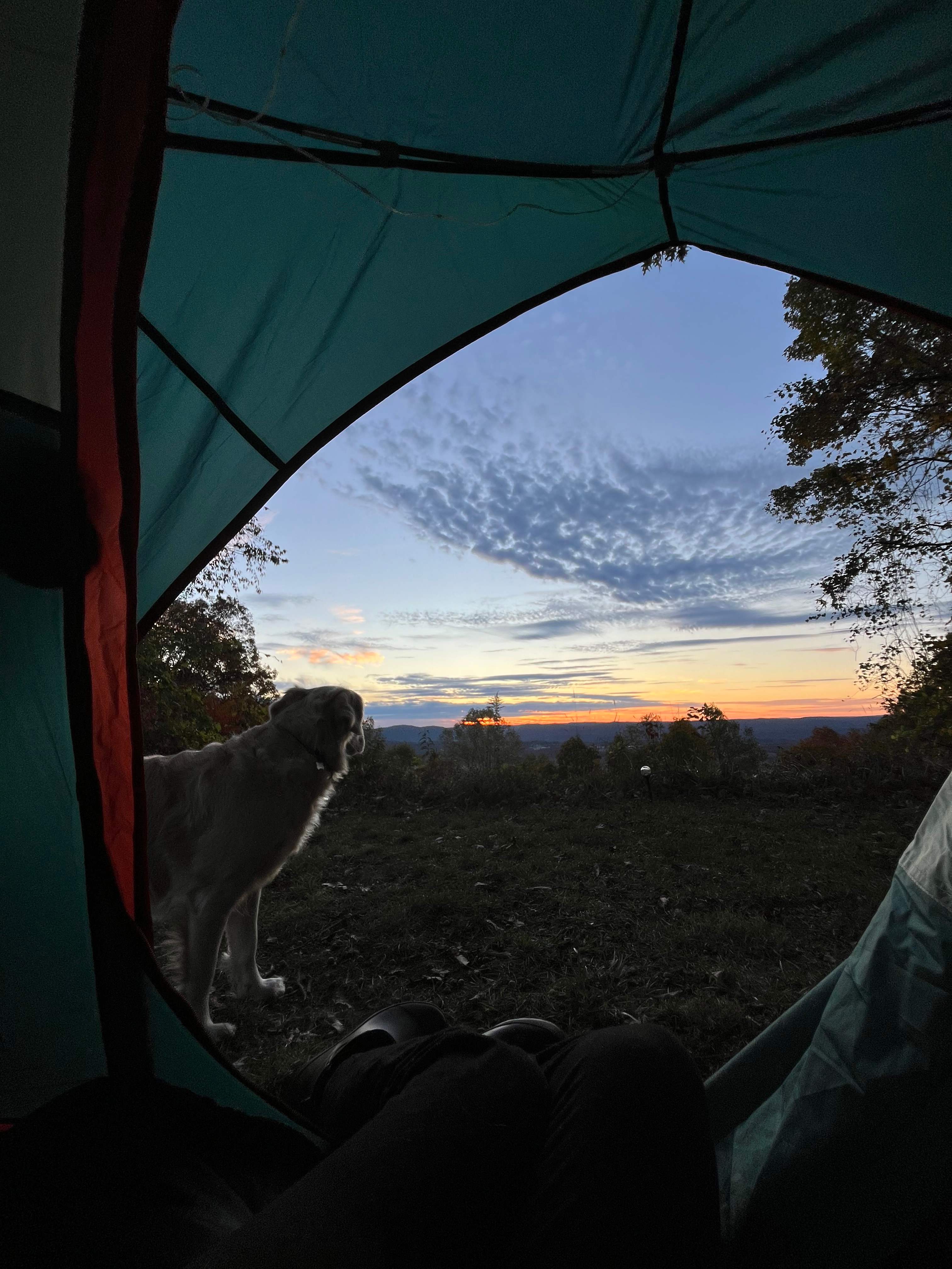 View directly outside our tent!