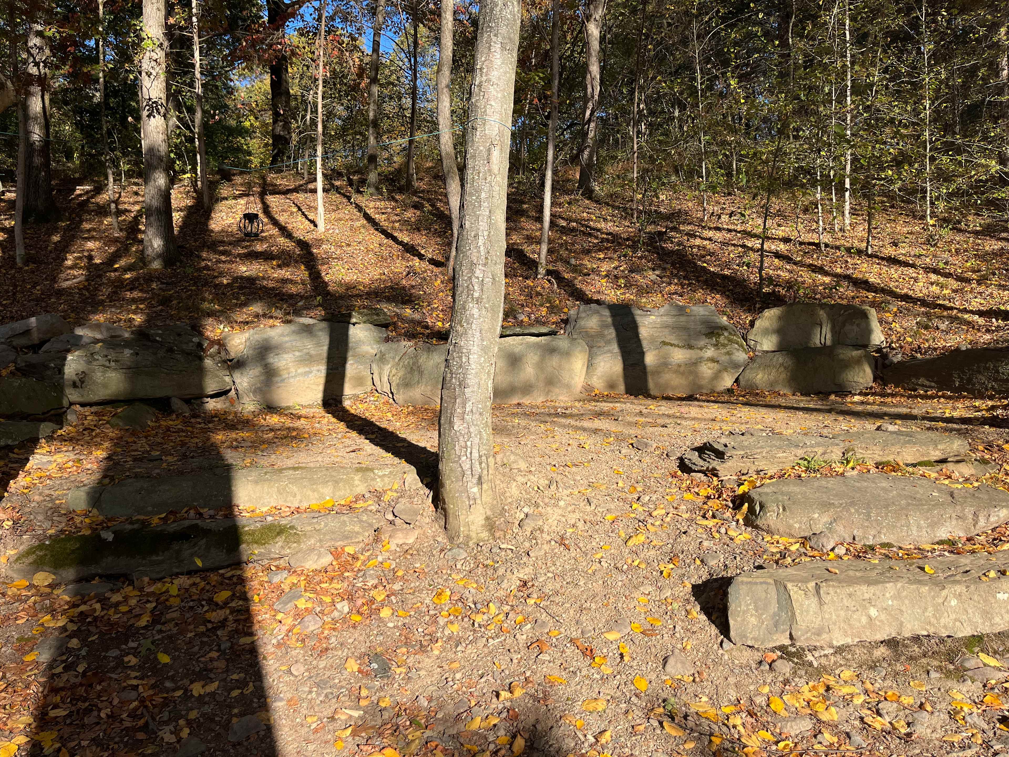 Great spot for a tent, just above the fire pit