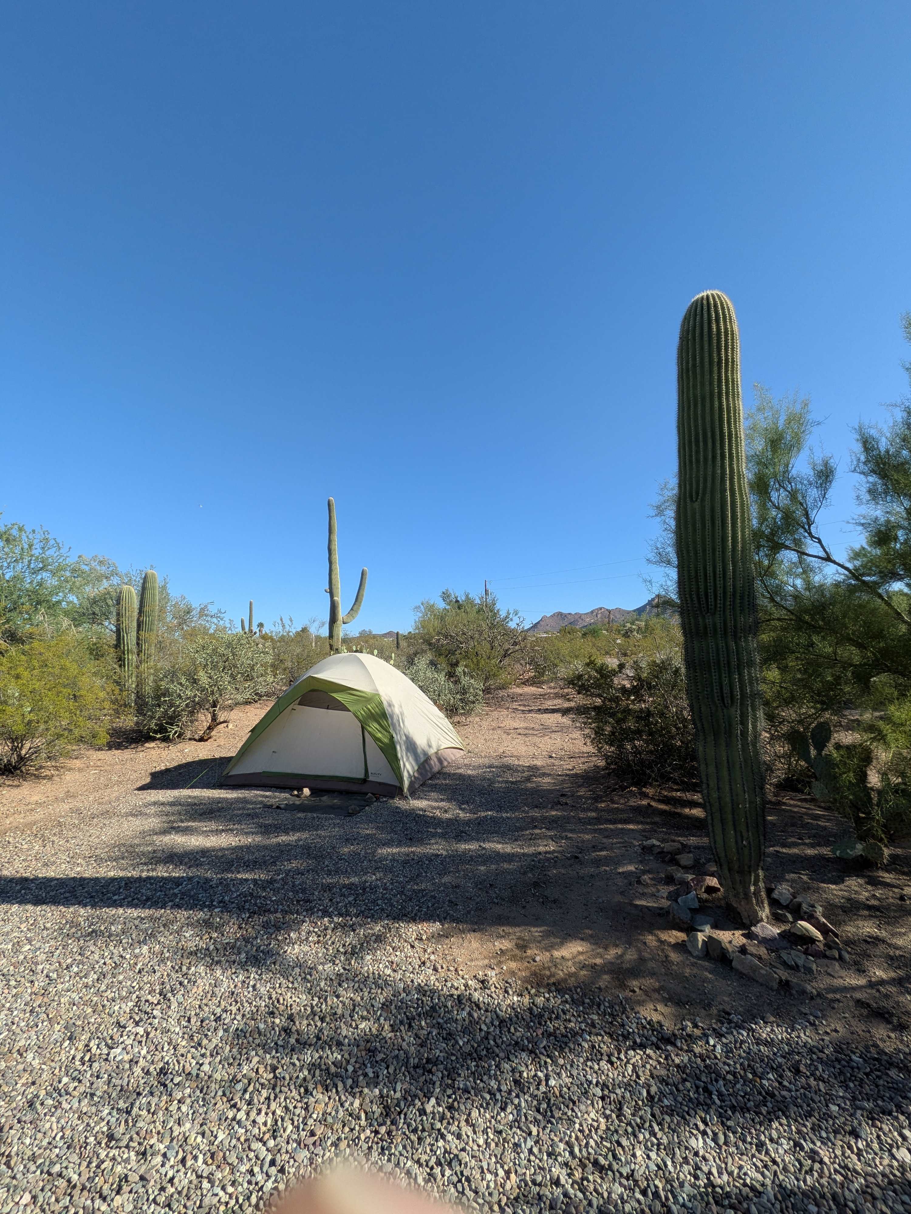 Camp Saguaro