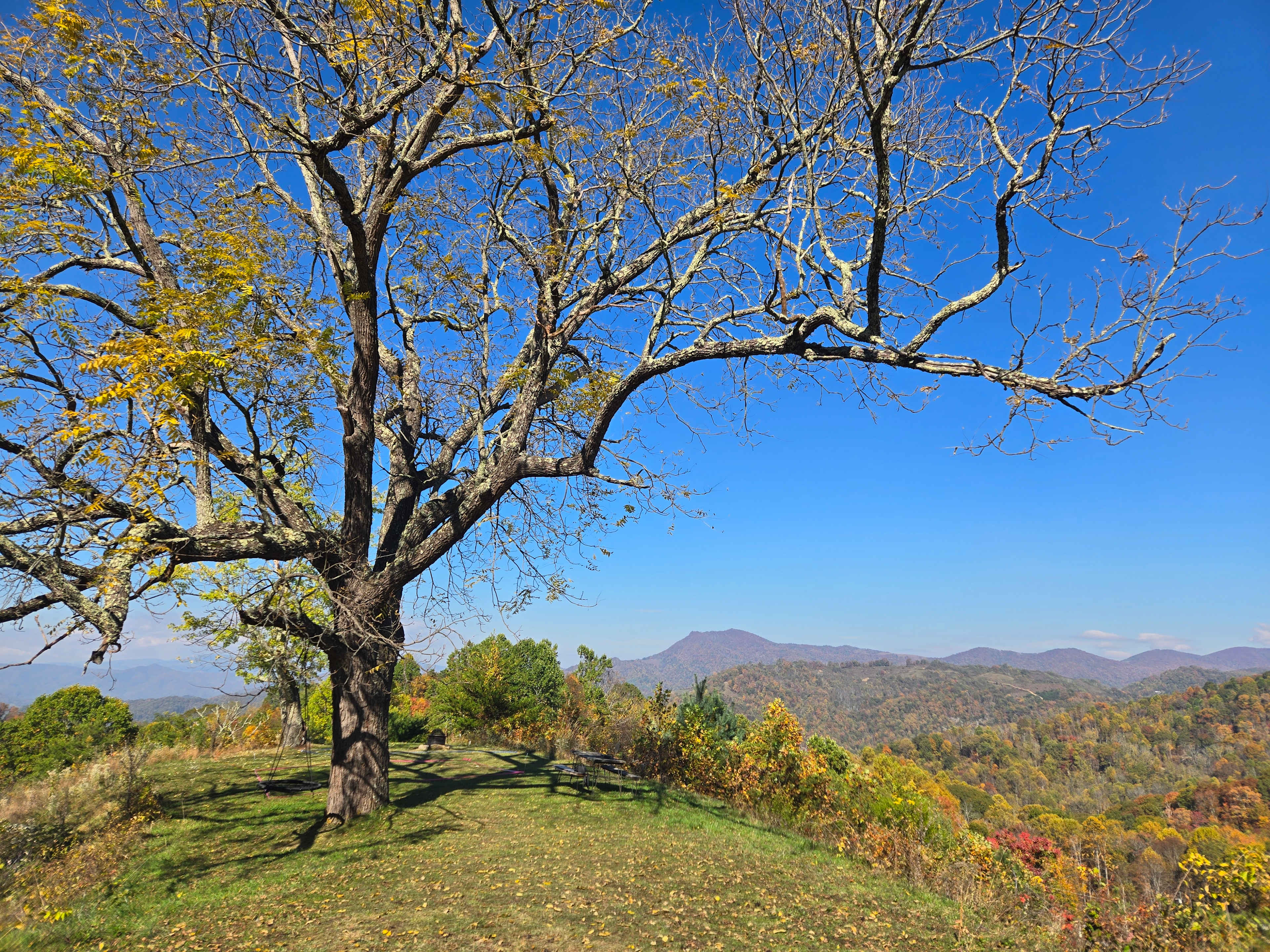 Pause || Eco-Retreat at Aramesh