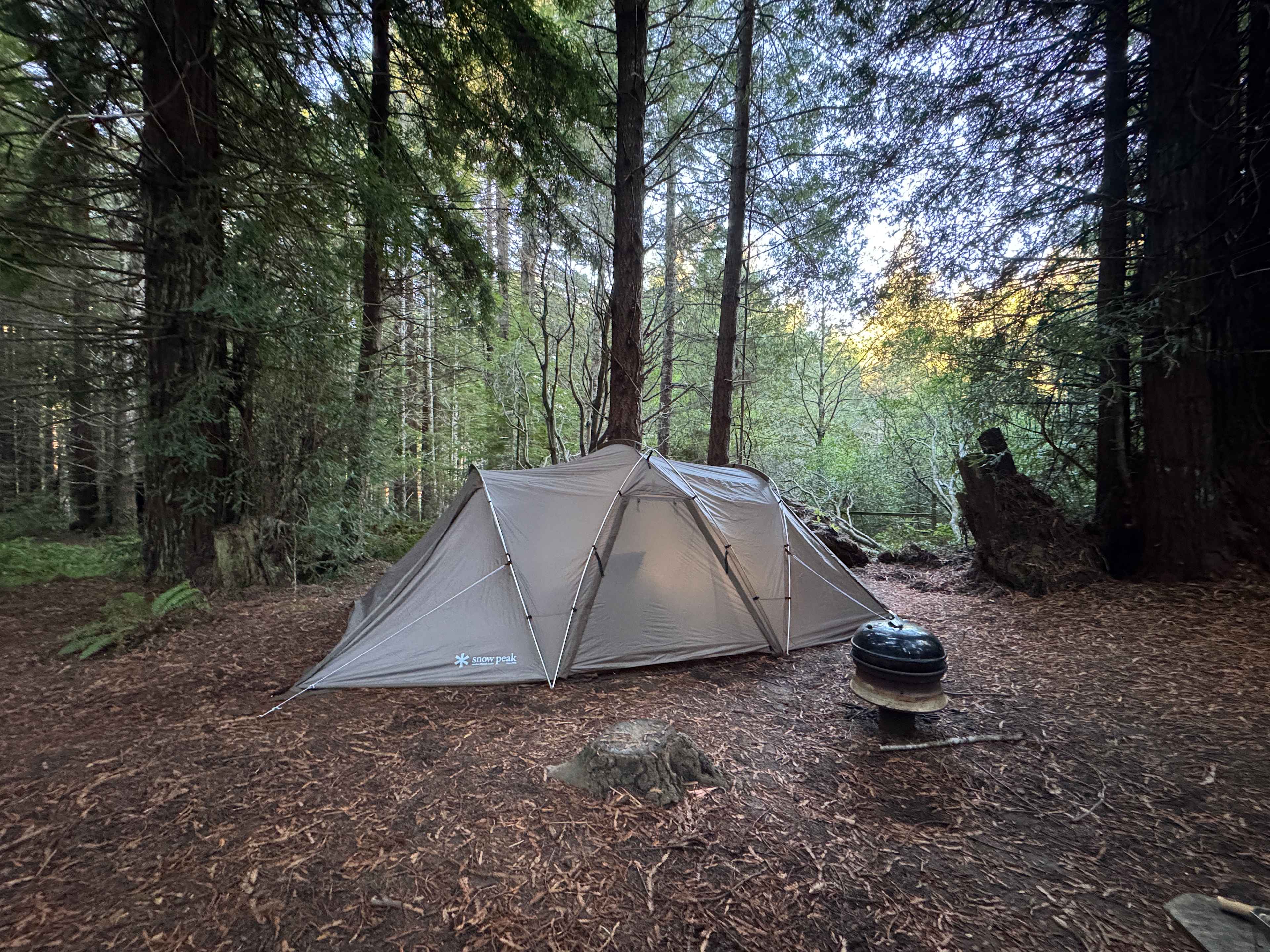 Site 2 Baby Banana Slug Farm