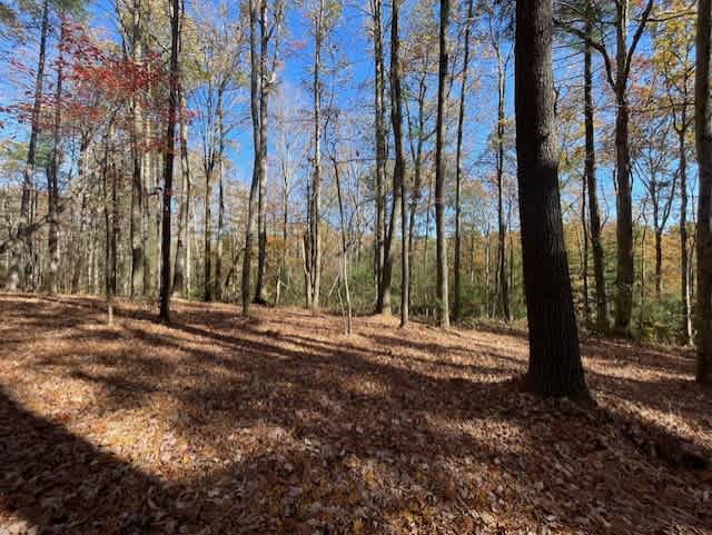 The Kilns @ The Red River Gorge