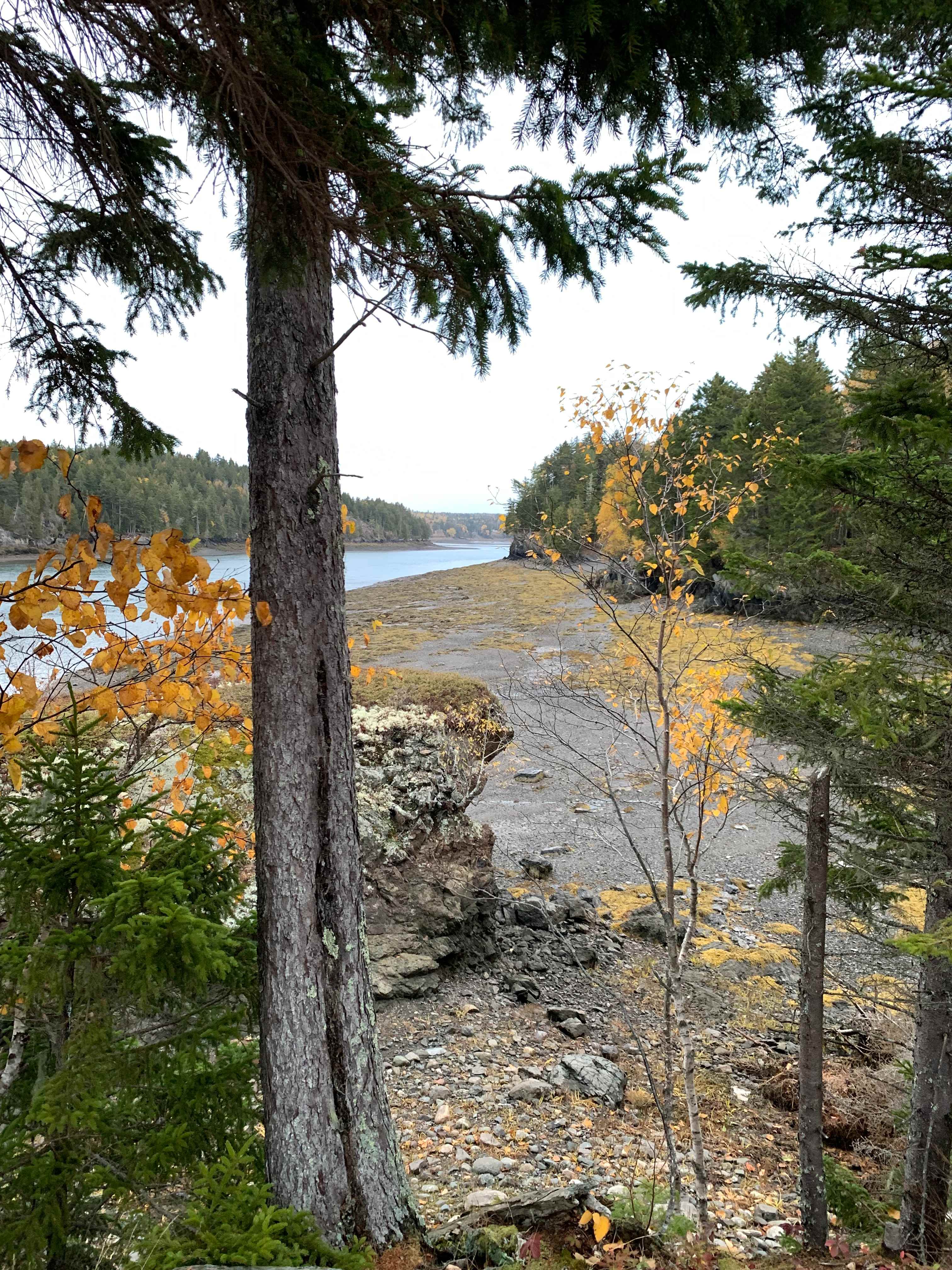 Mouth of the Magaguadavic Camping