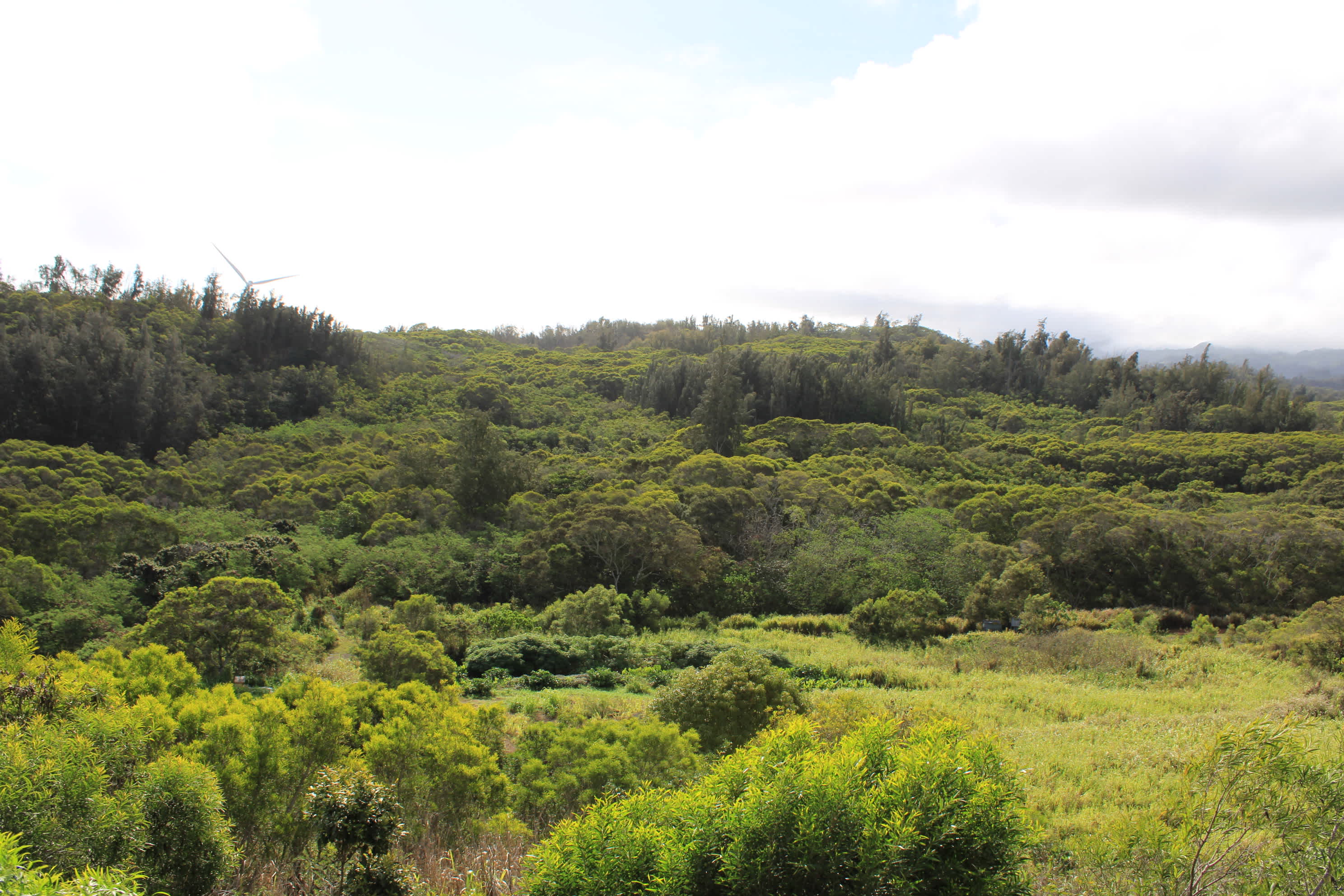 Green Hills Organic Farm