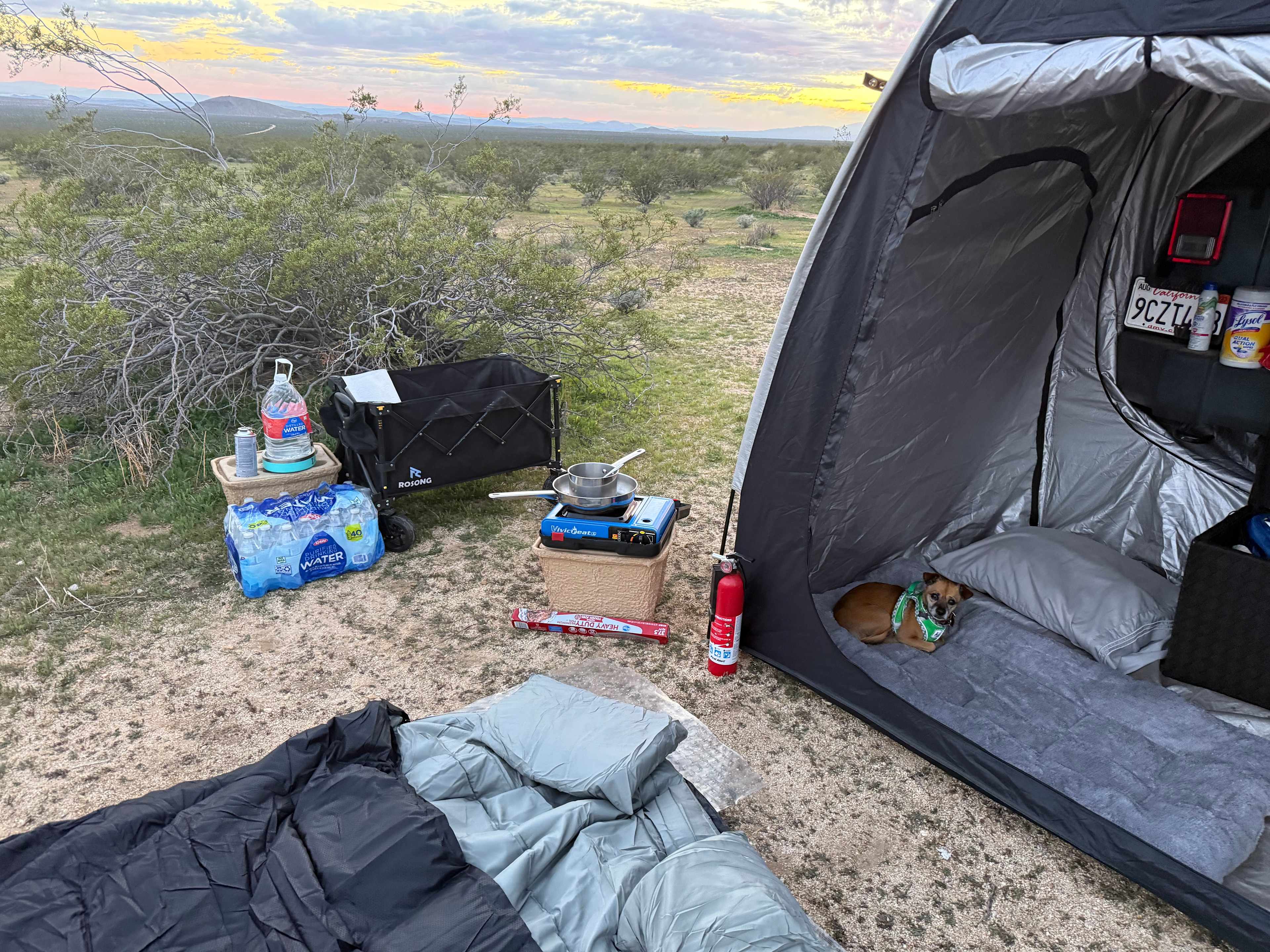 All preparations were made 