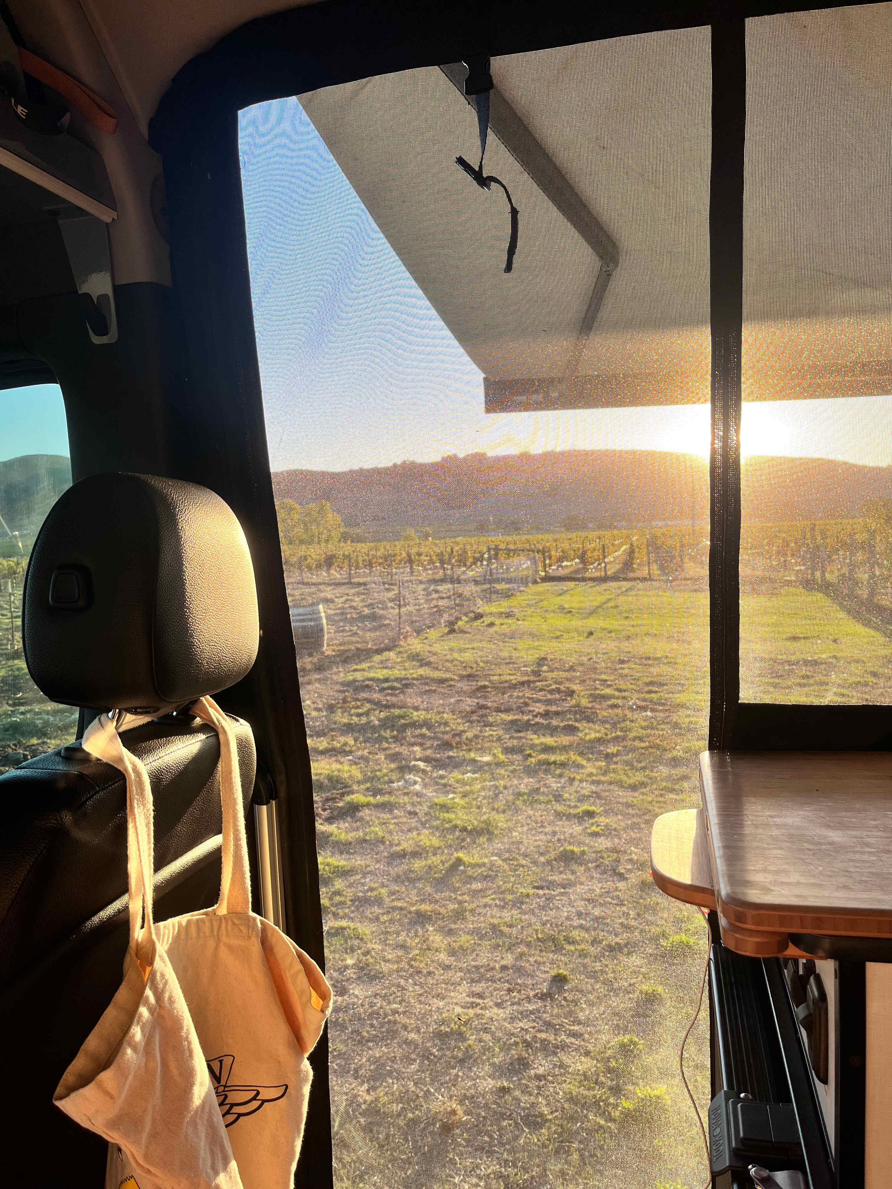 Studdert Family Farm