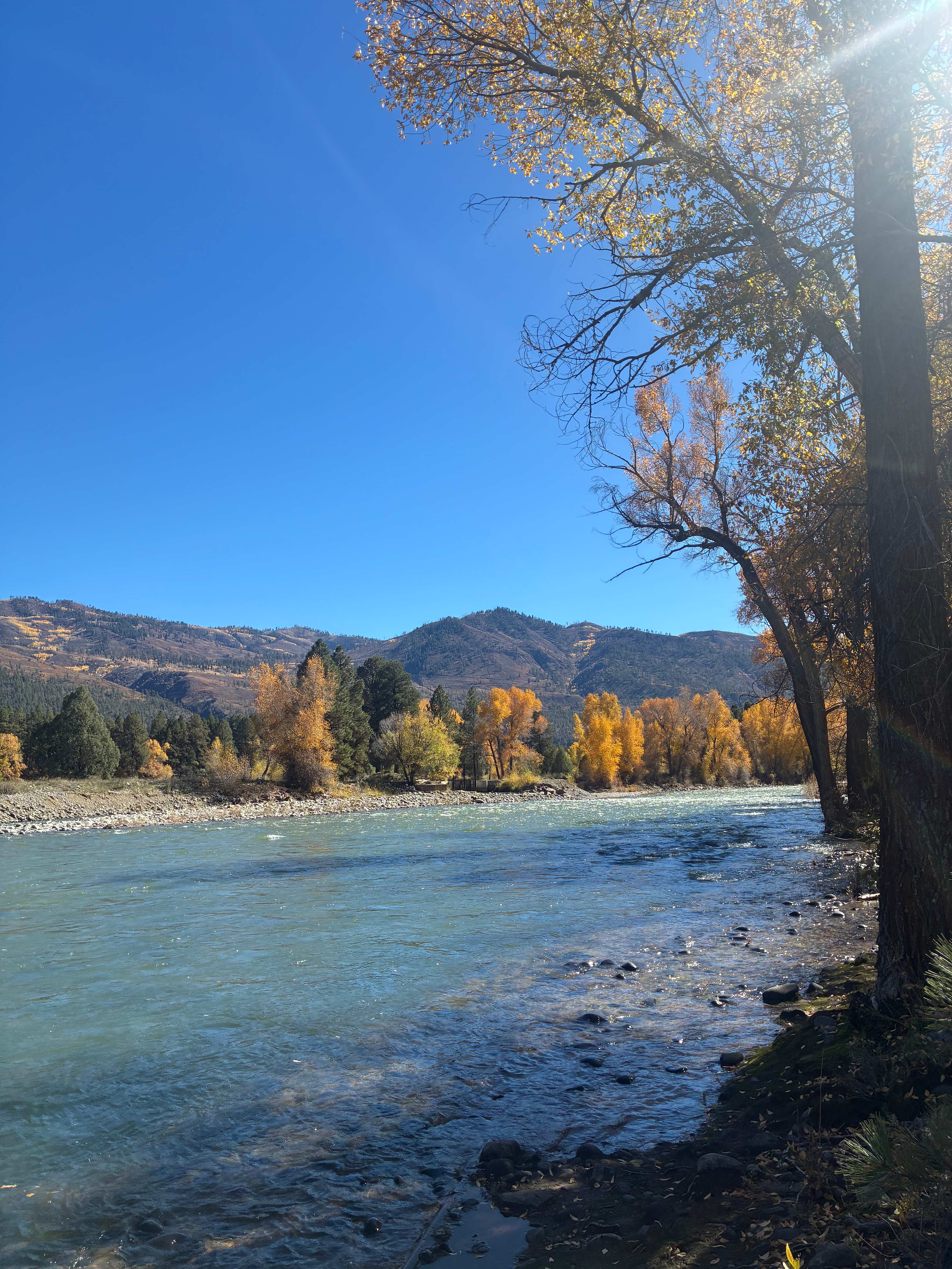 Junction West Durango