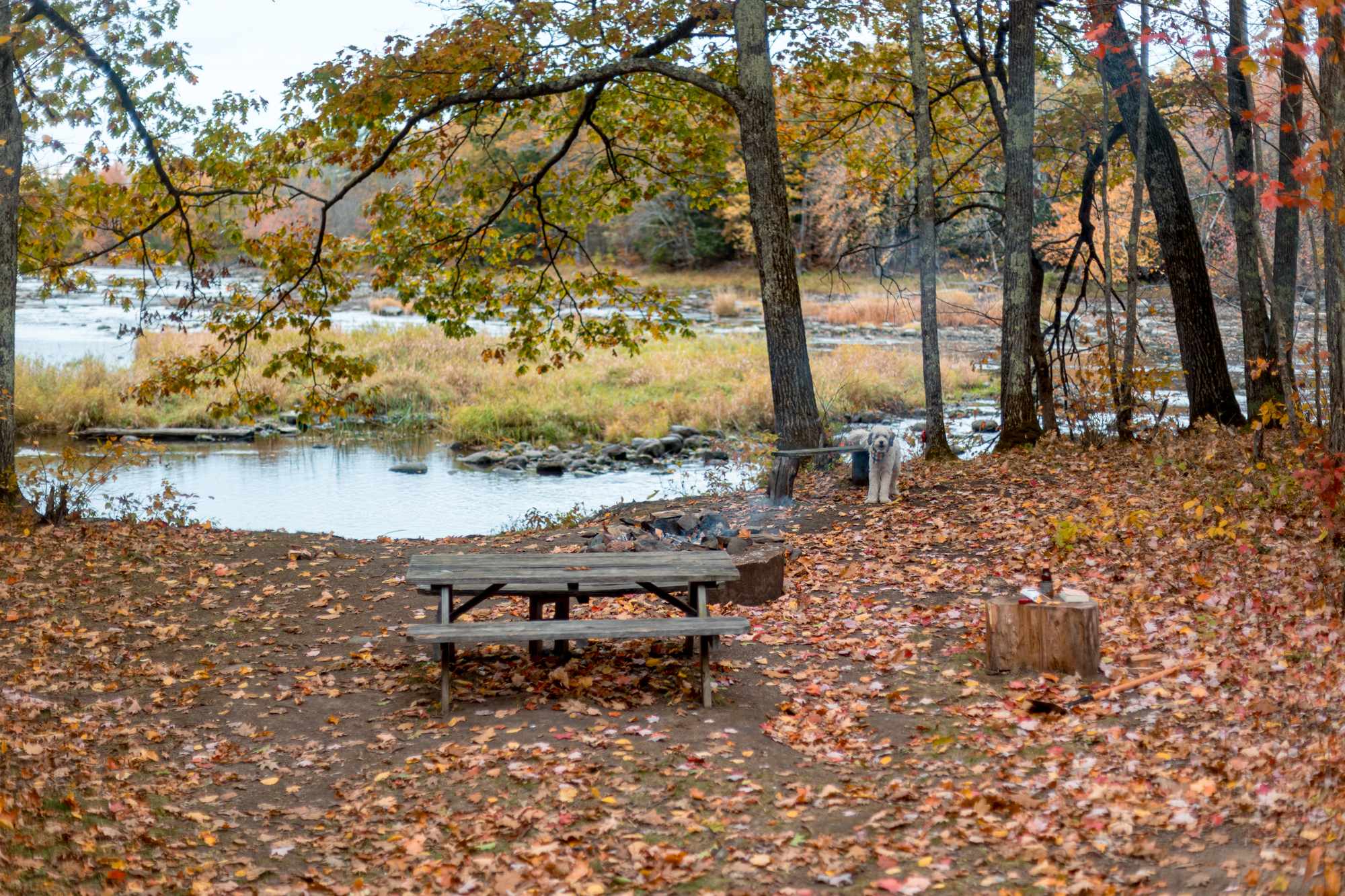 View of the water from outside Dale
