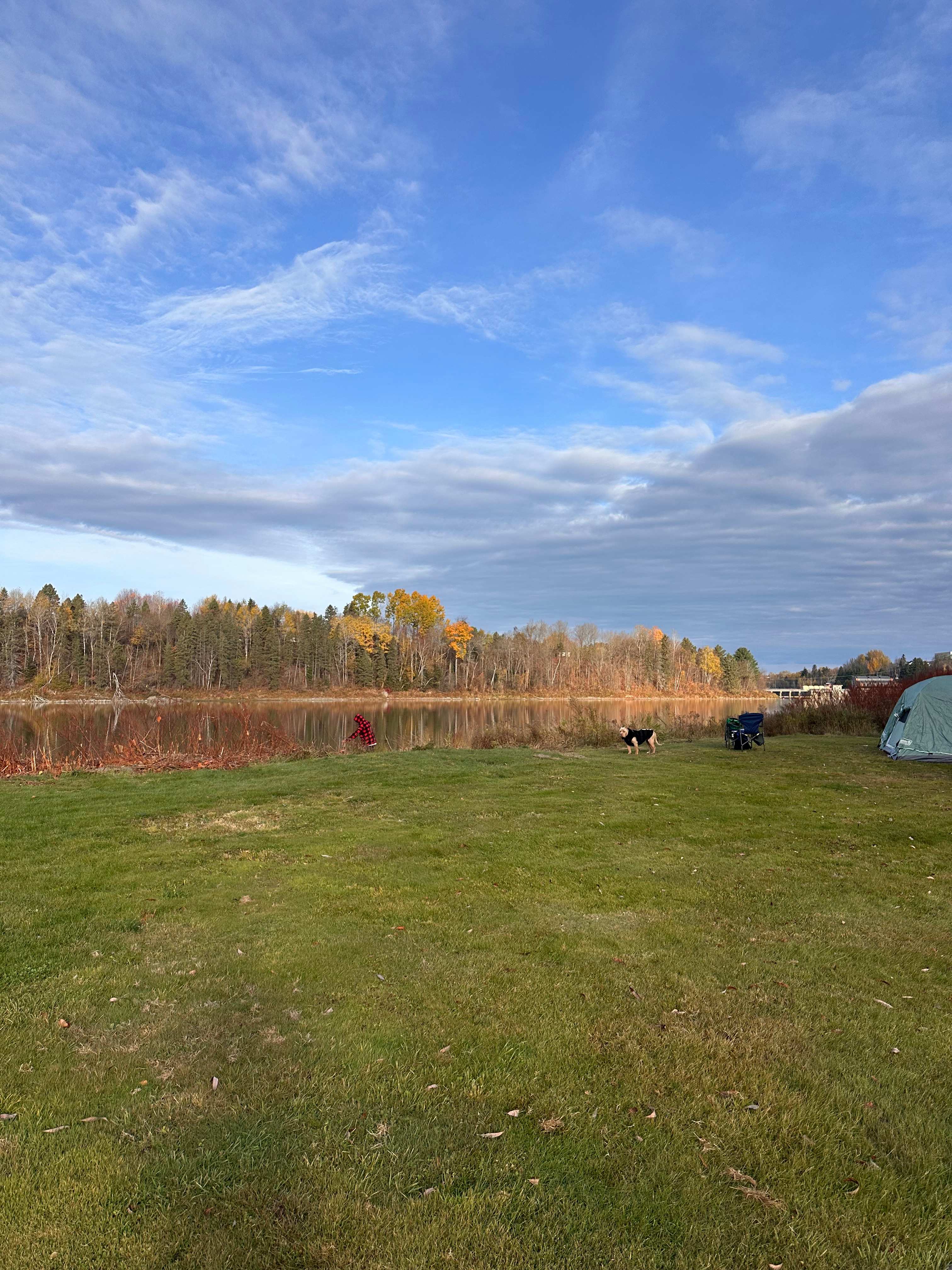 Au Petit Chat de la Riviere