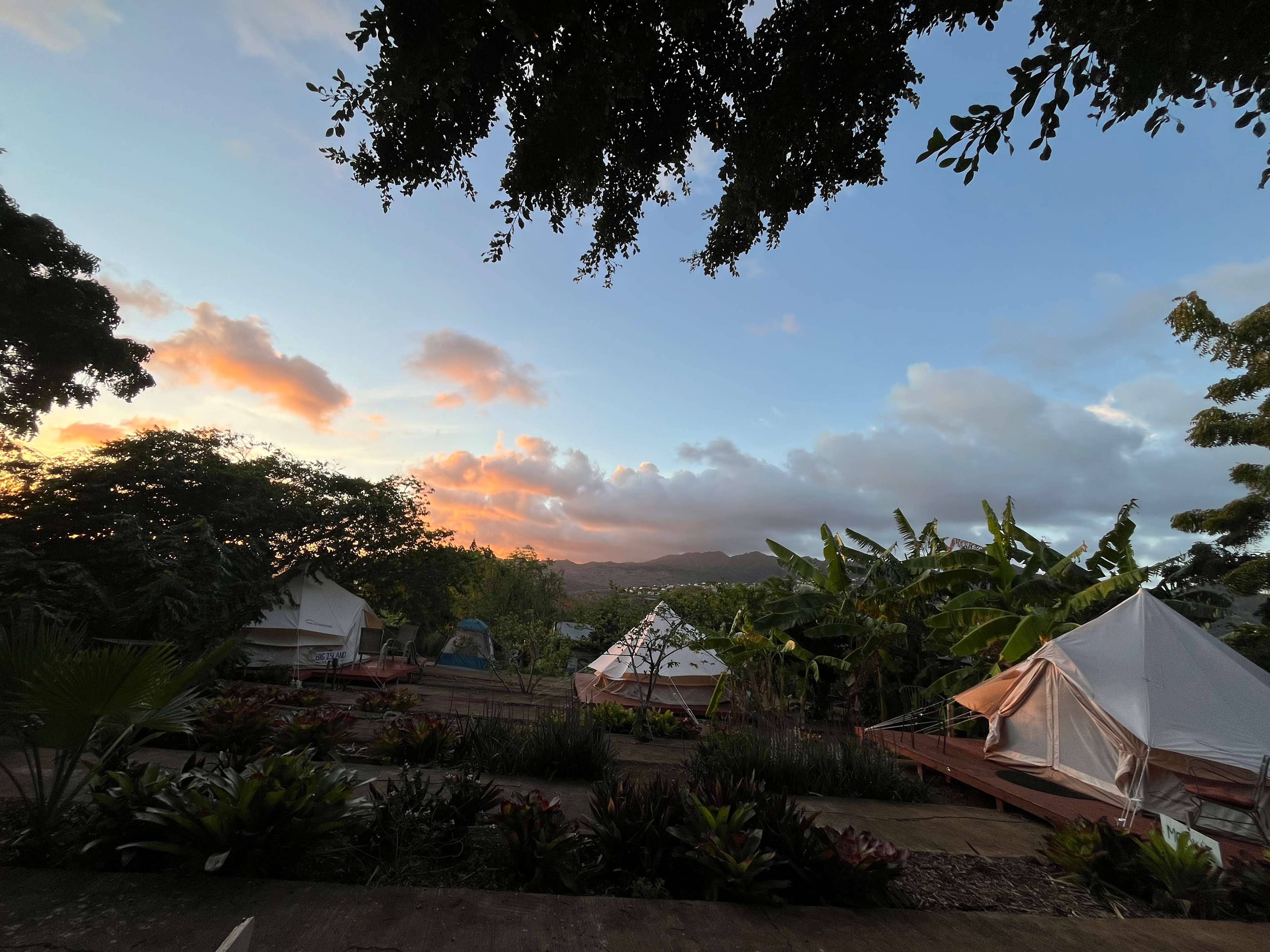 Sun Farm Hawaii @ Koko Head