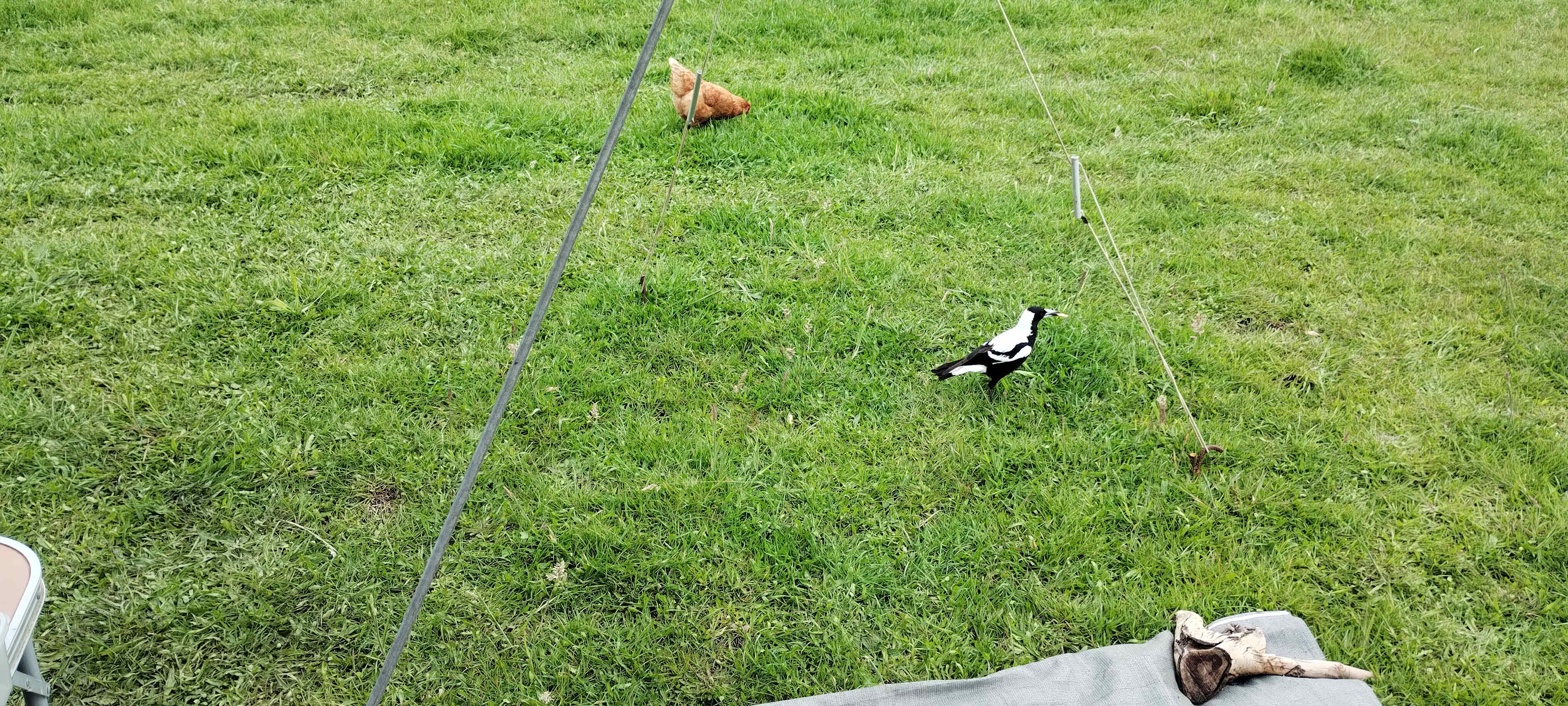 Park Farm in Robinson