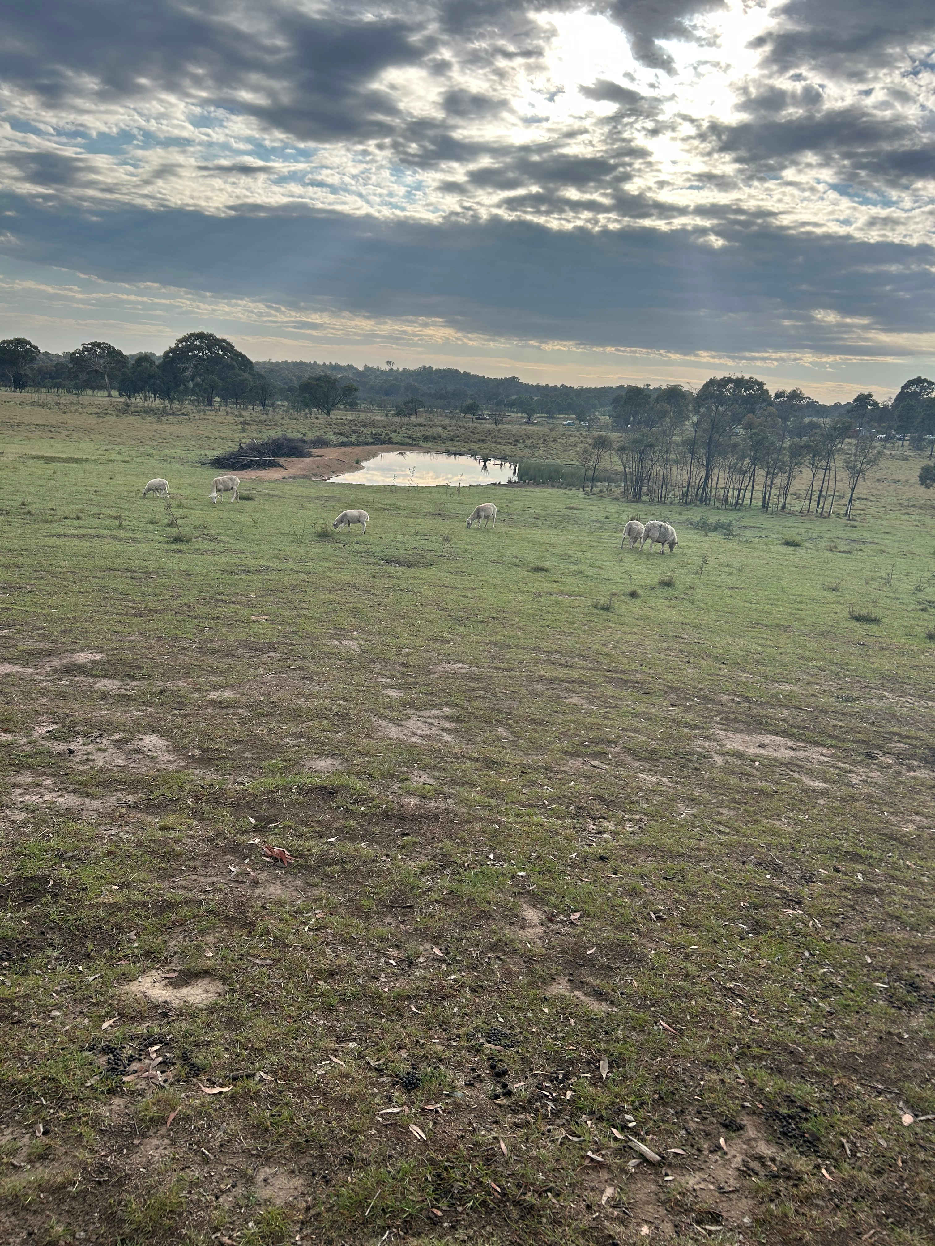 Miranda Springs Farm Stay