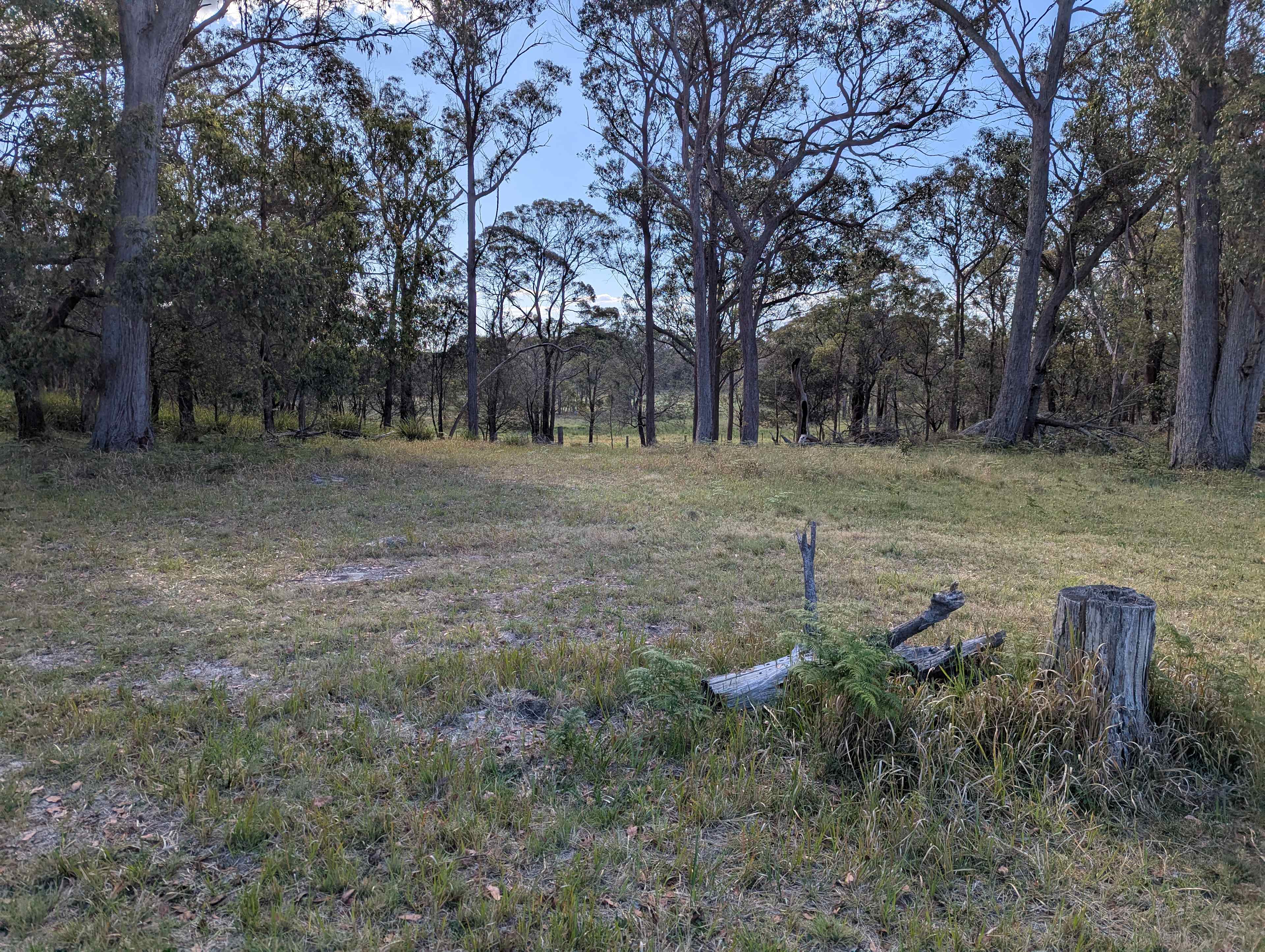 Jindalee Bush camping