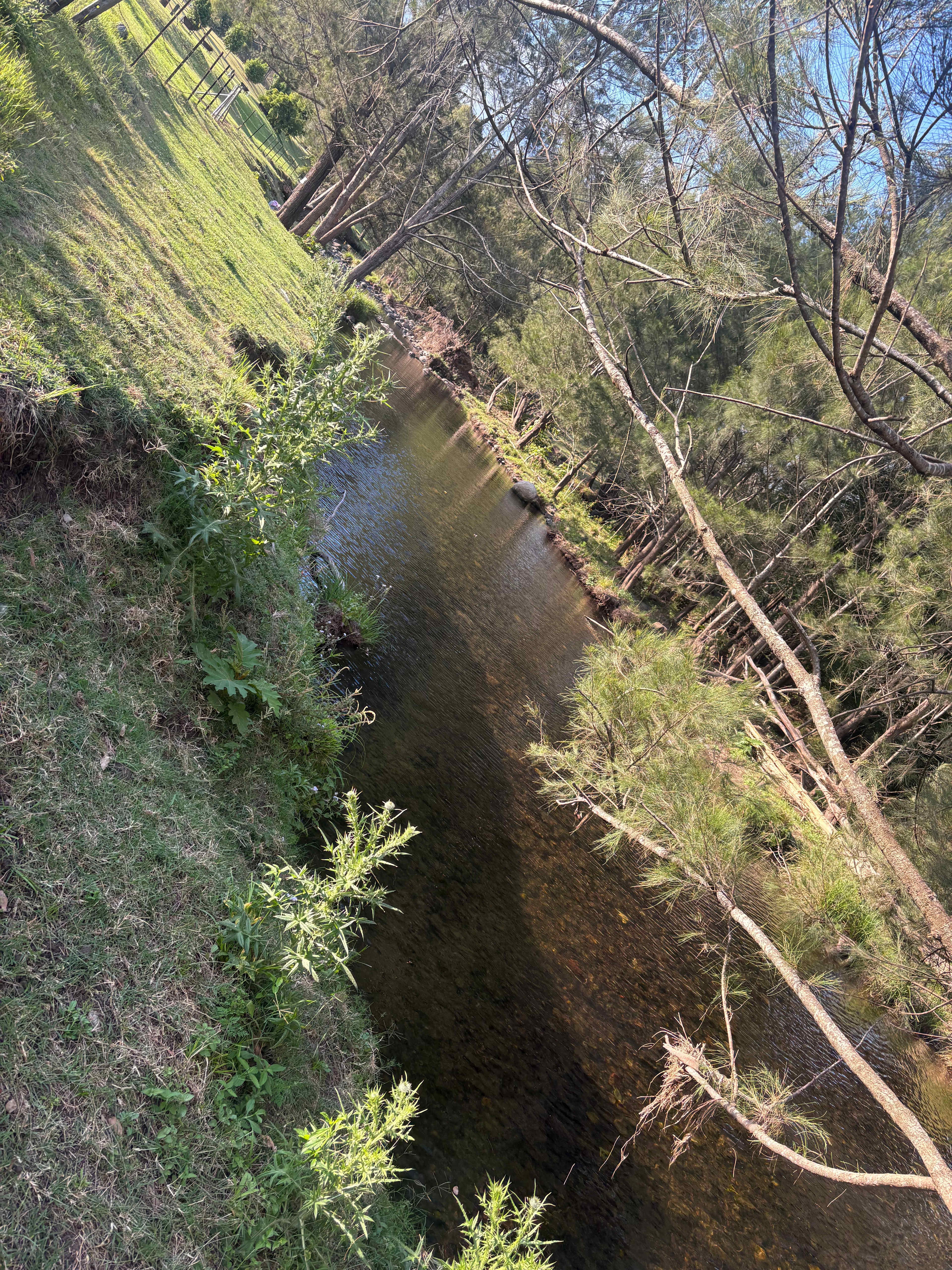 Christmas Creek Bush Retreat