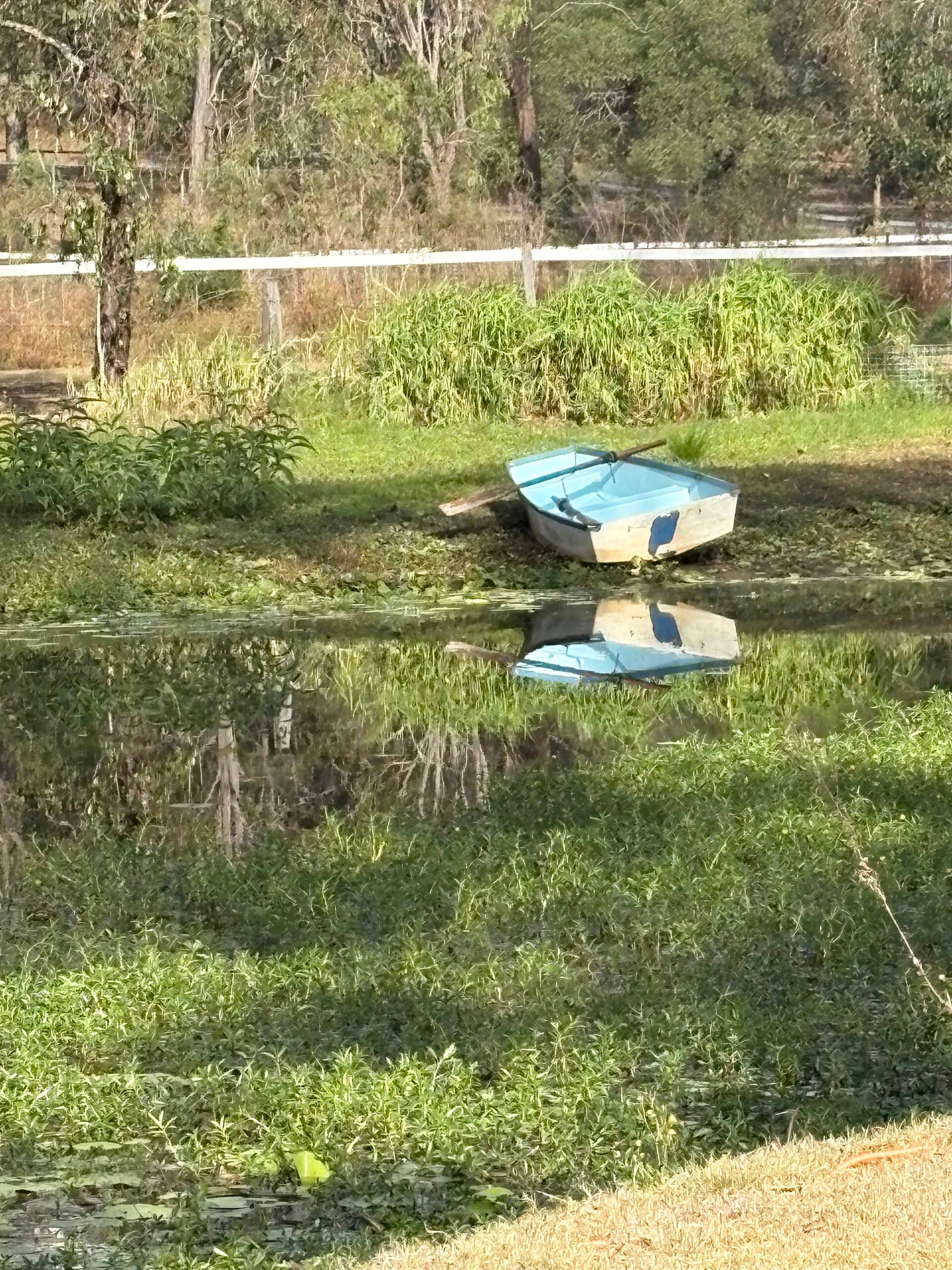 Moyle Manor camping or Glamping