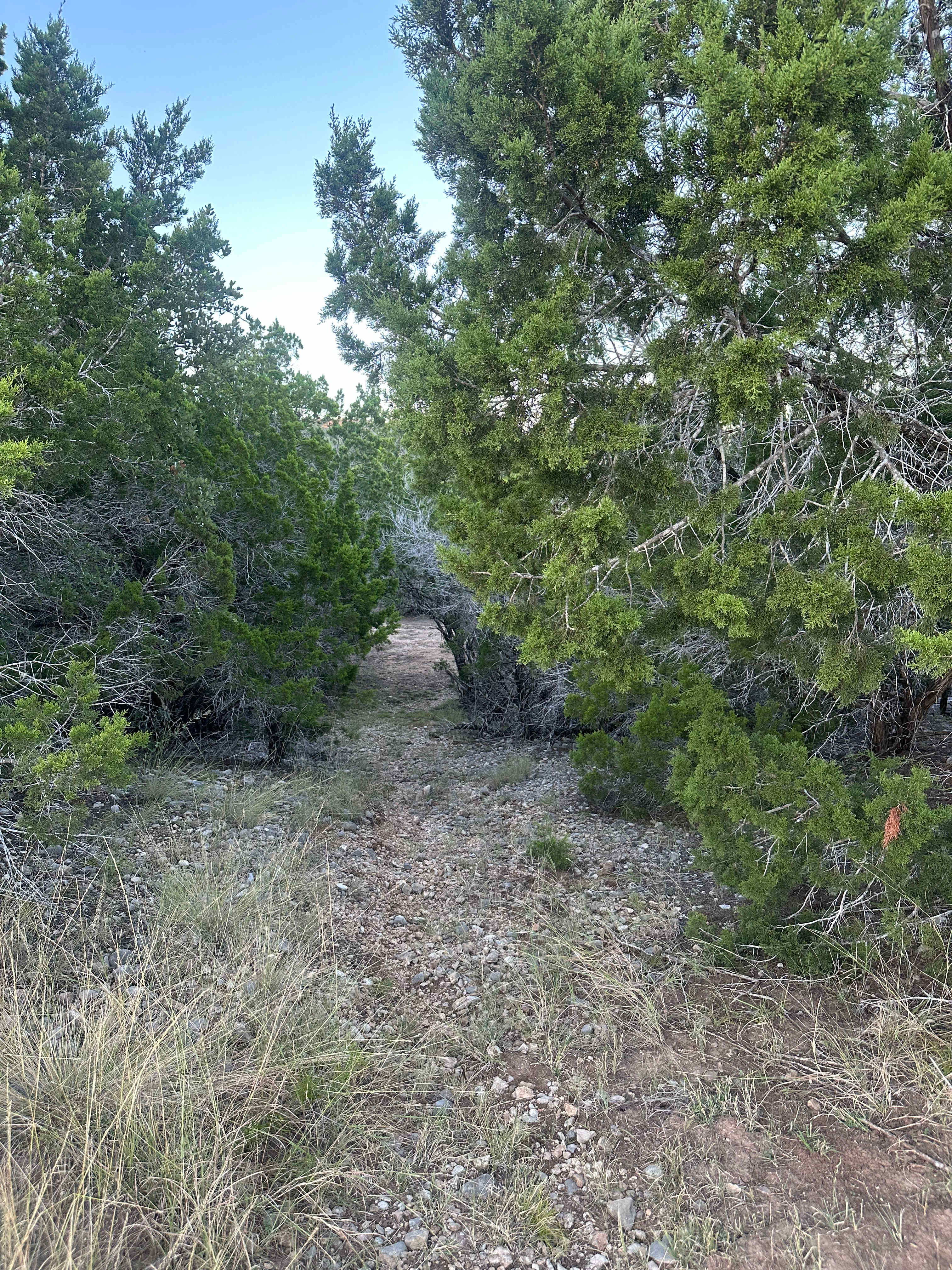 Dark Sky/Hike/Bird/Bike - Utopia