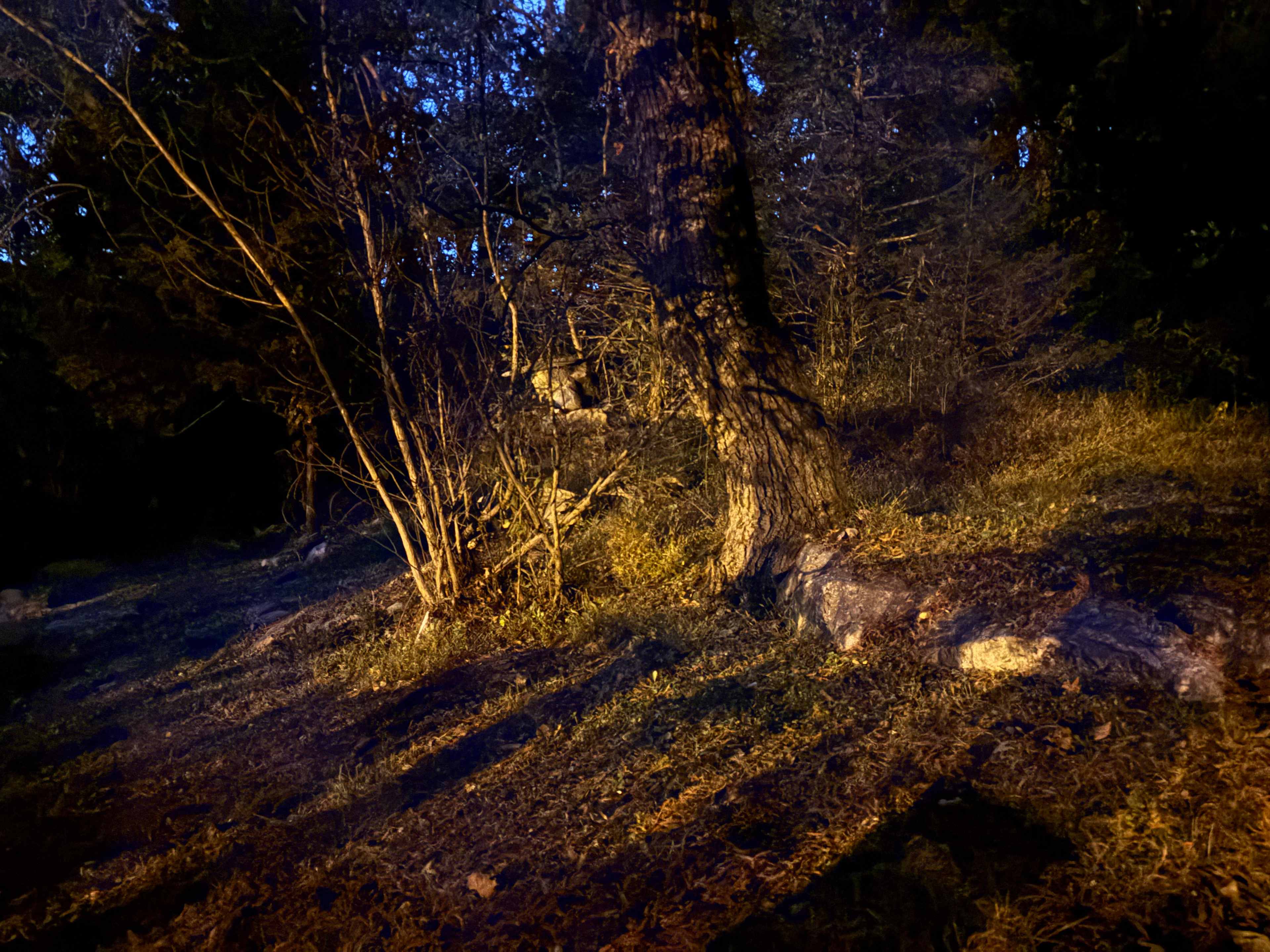 CrowMocker Cabins And Camping