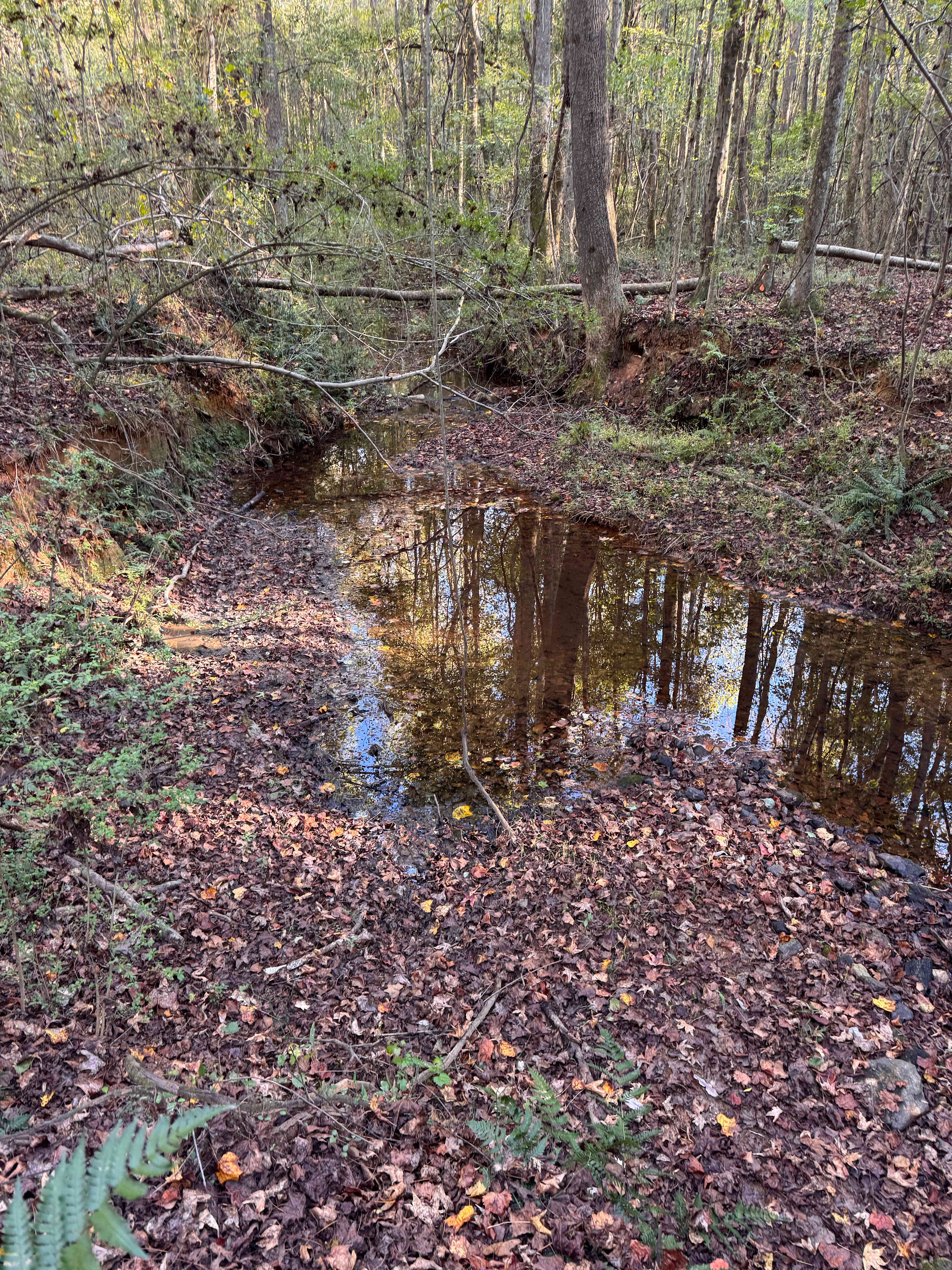 Sowing Seeds of Peace