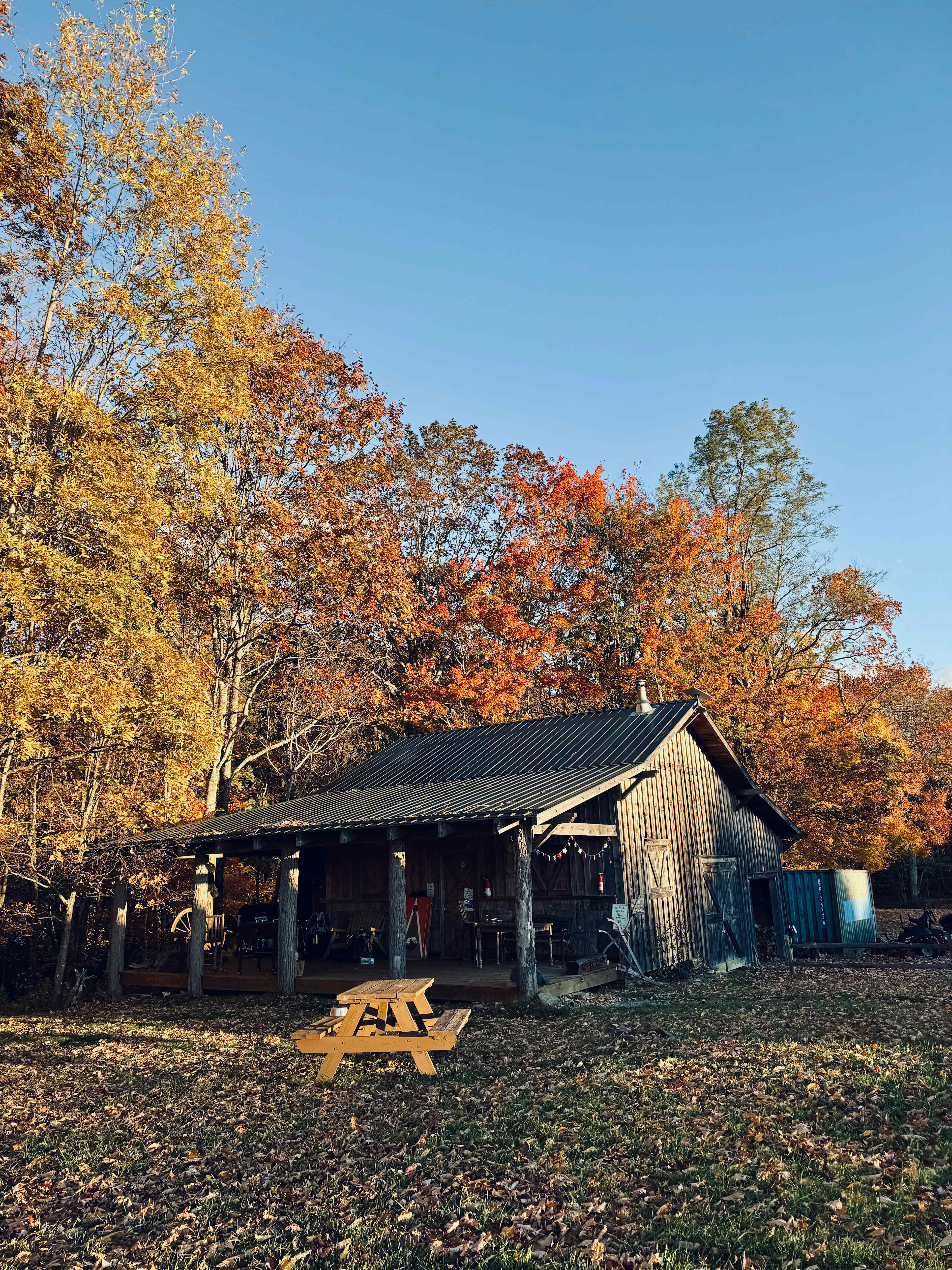Blue Bear Mountain Camp