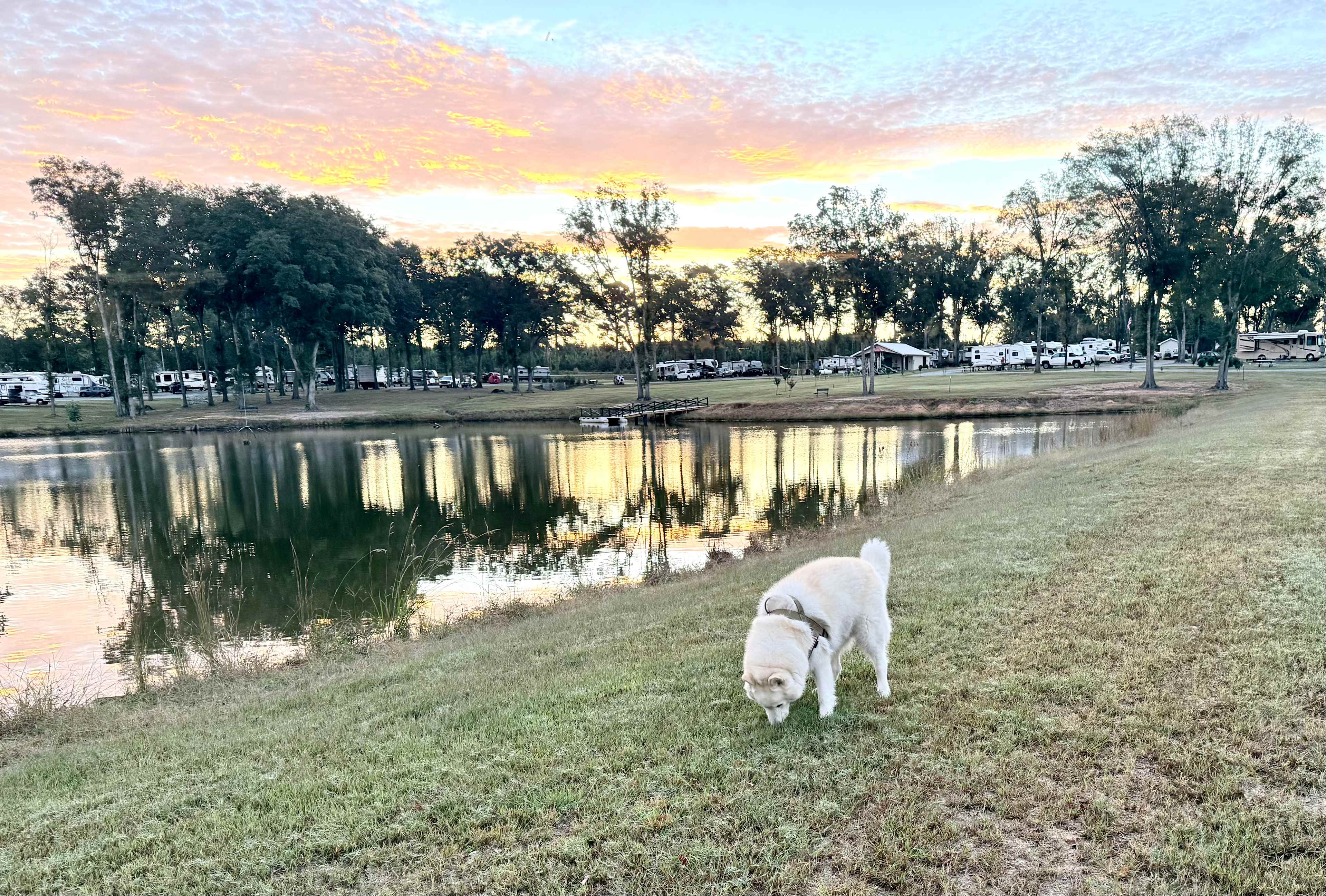 4 County RV Park & Campground