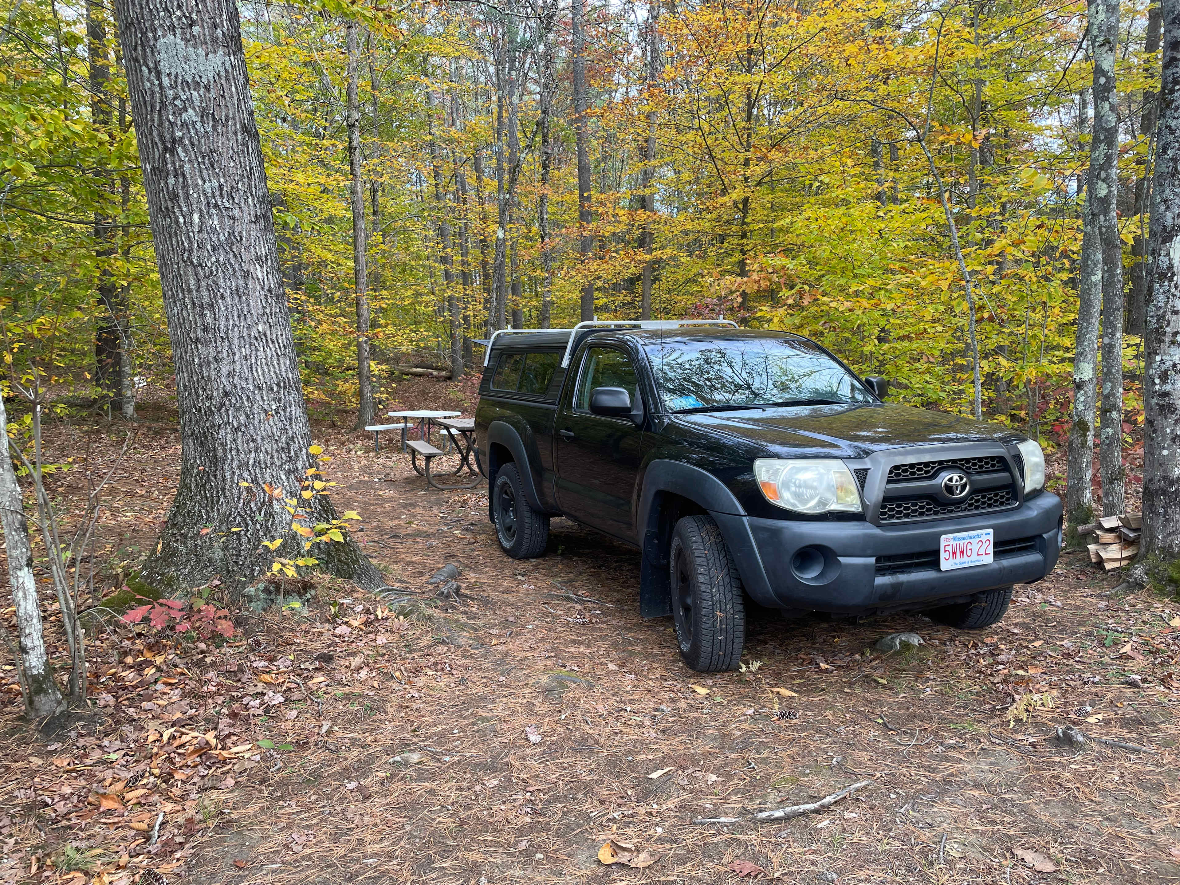 Someday Farm and Forest
