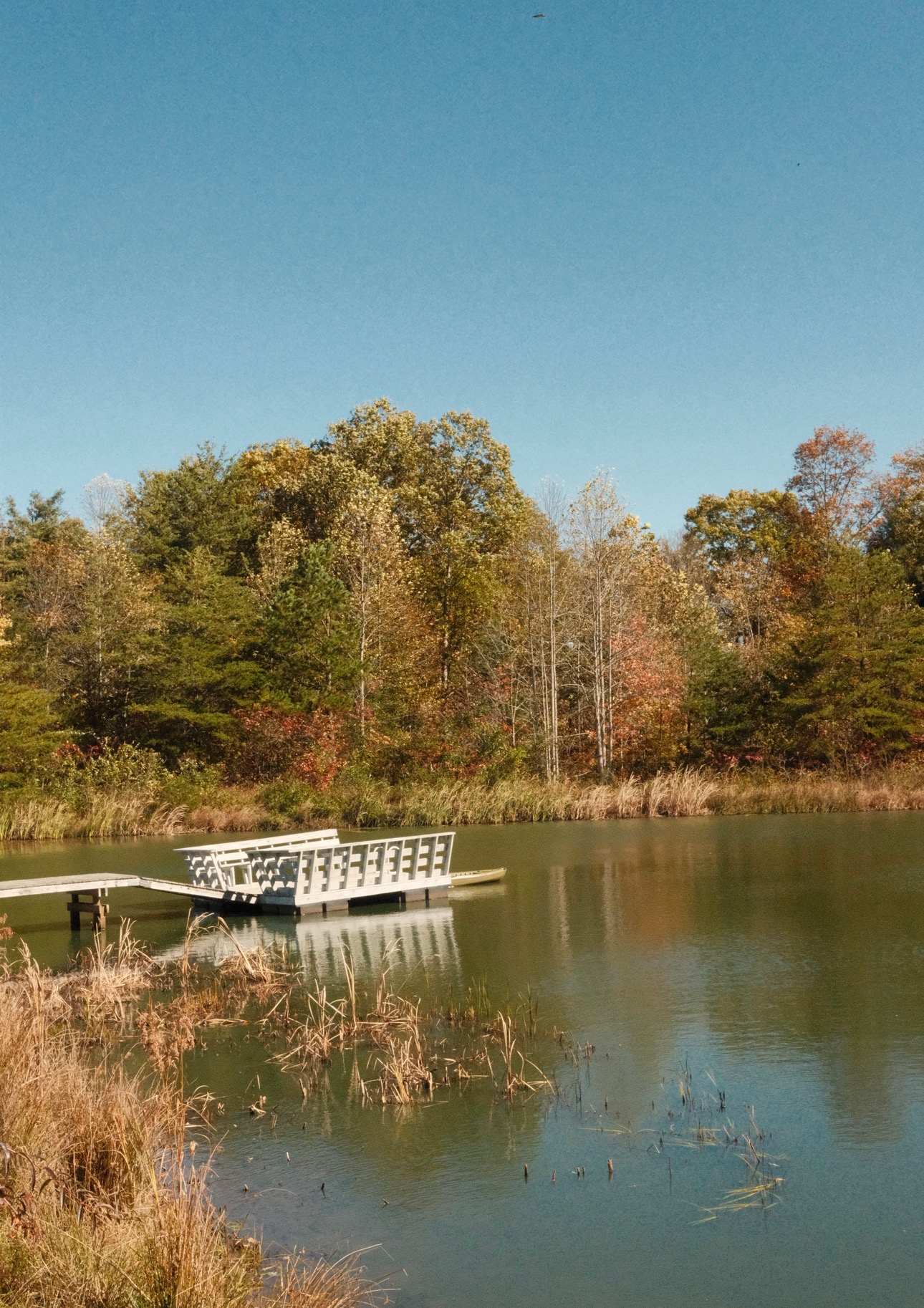 The Harrican Lakehouse