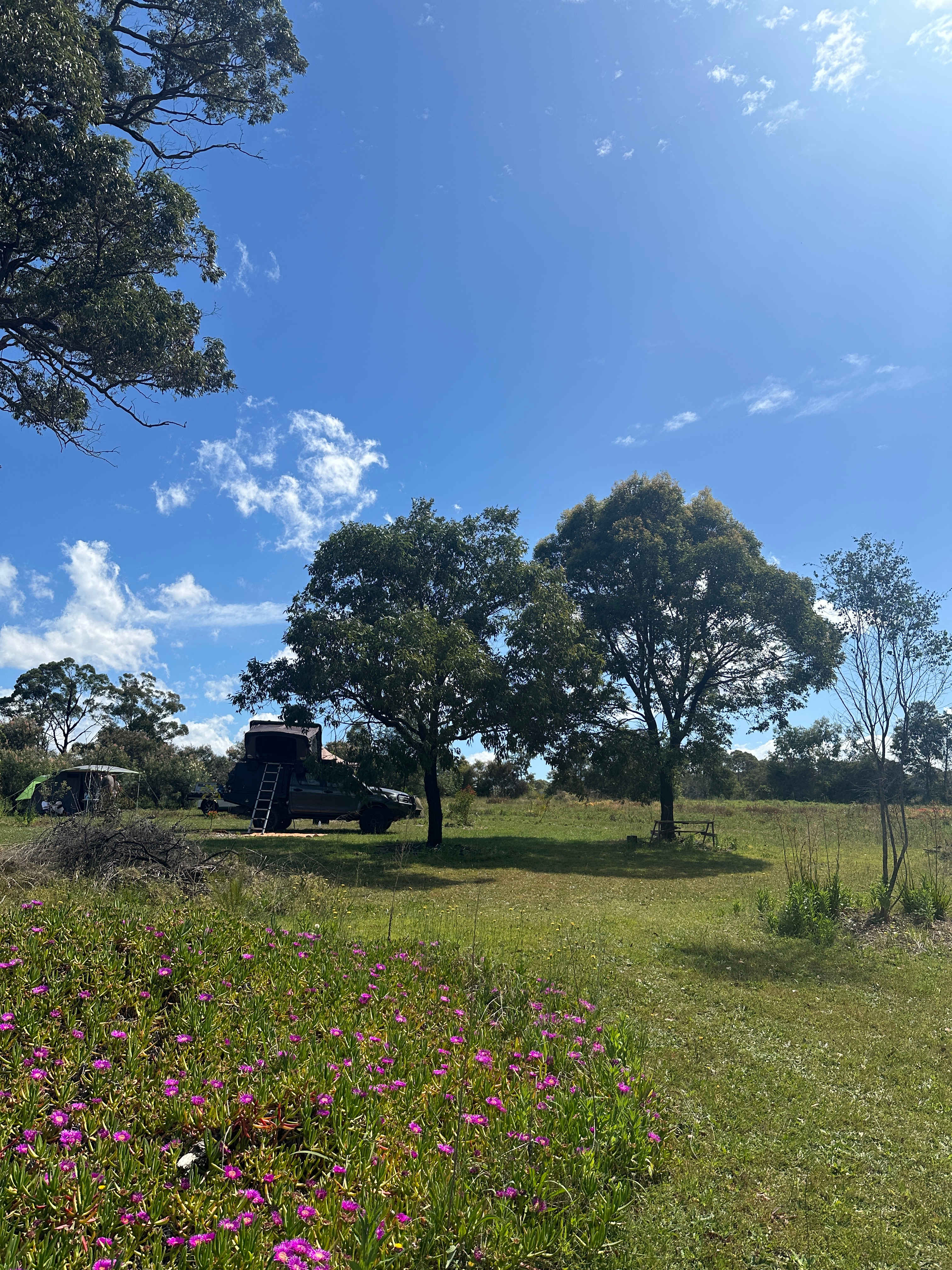 Silky Oaks Flower Farm