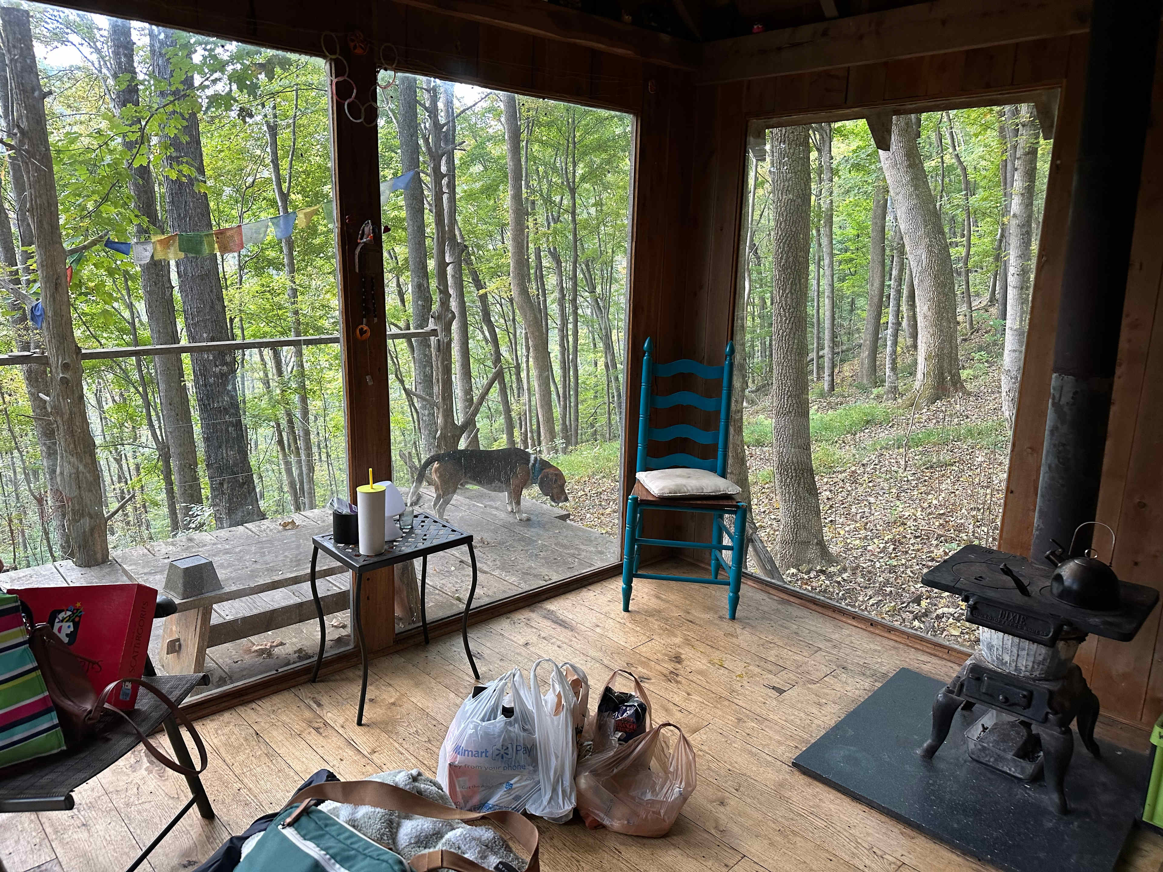 Beech Hollow Hideout