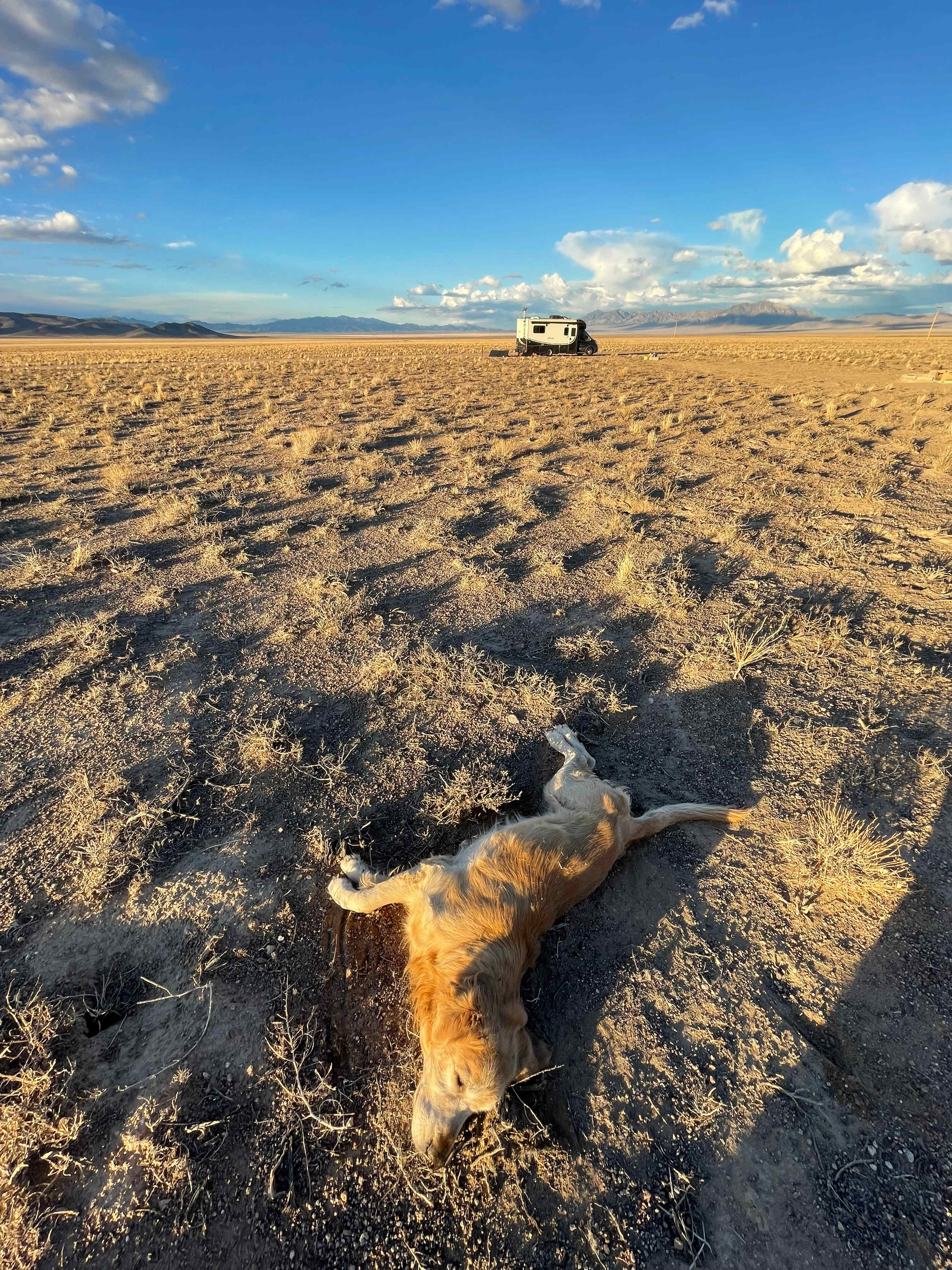 #1 Night Skies, UFOs, & Jets