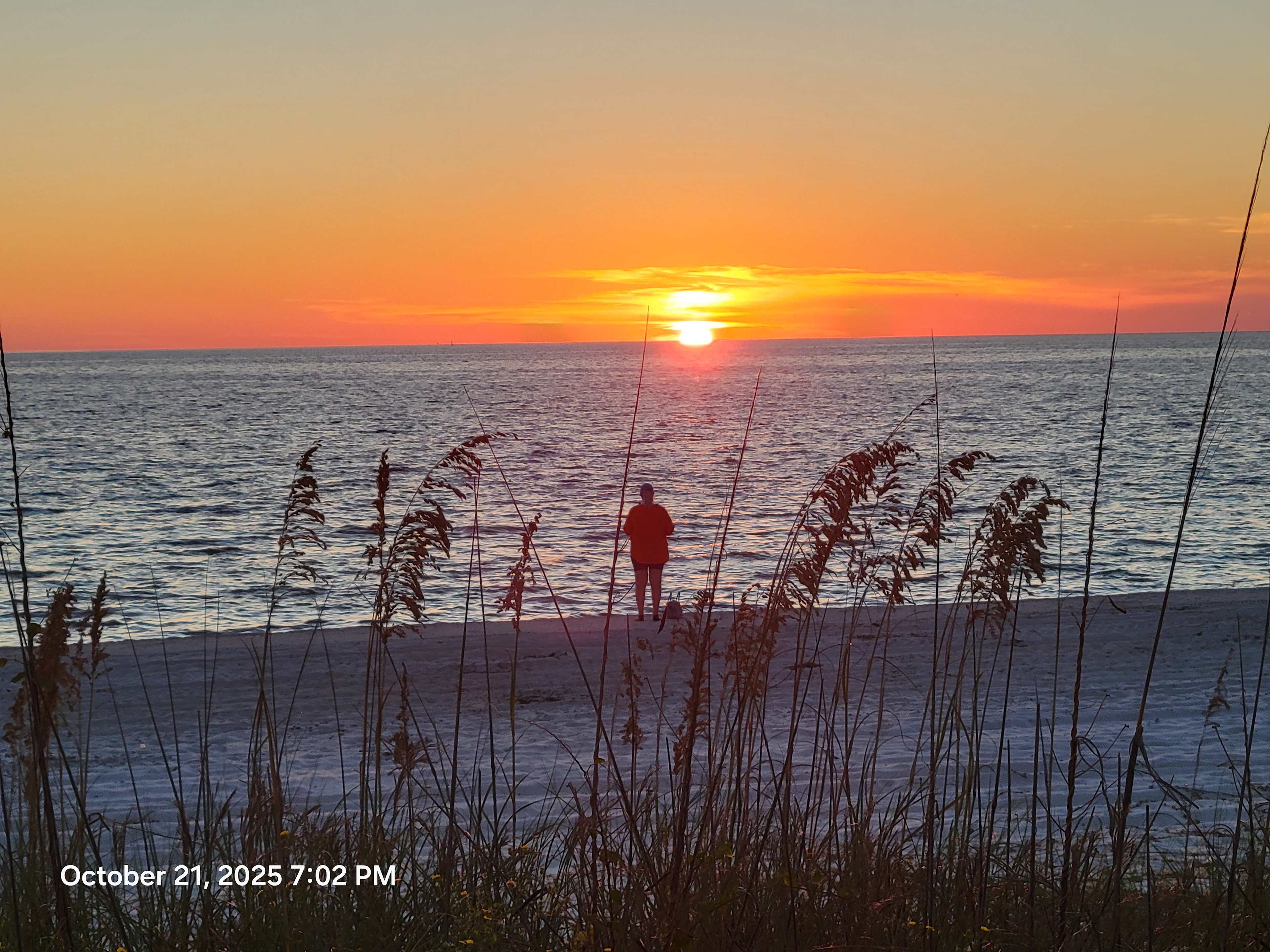 The Gulf Stream Beach Camp