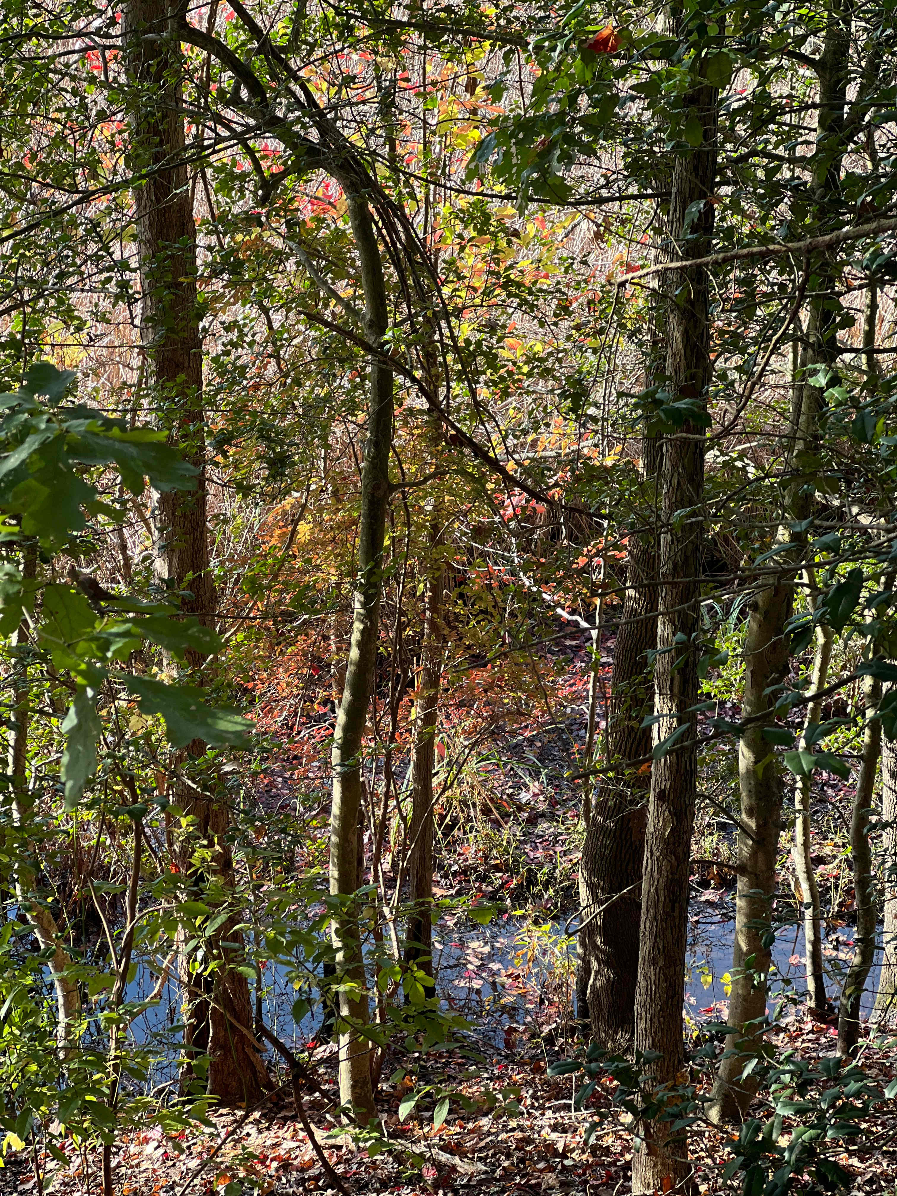 Tranquil surroundings.