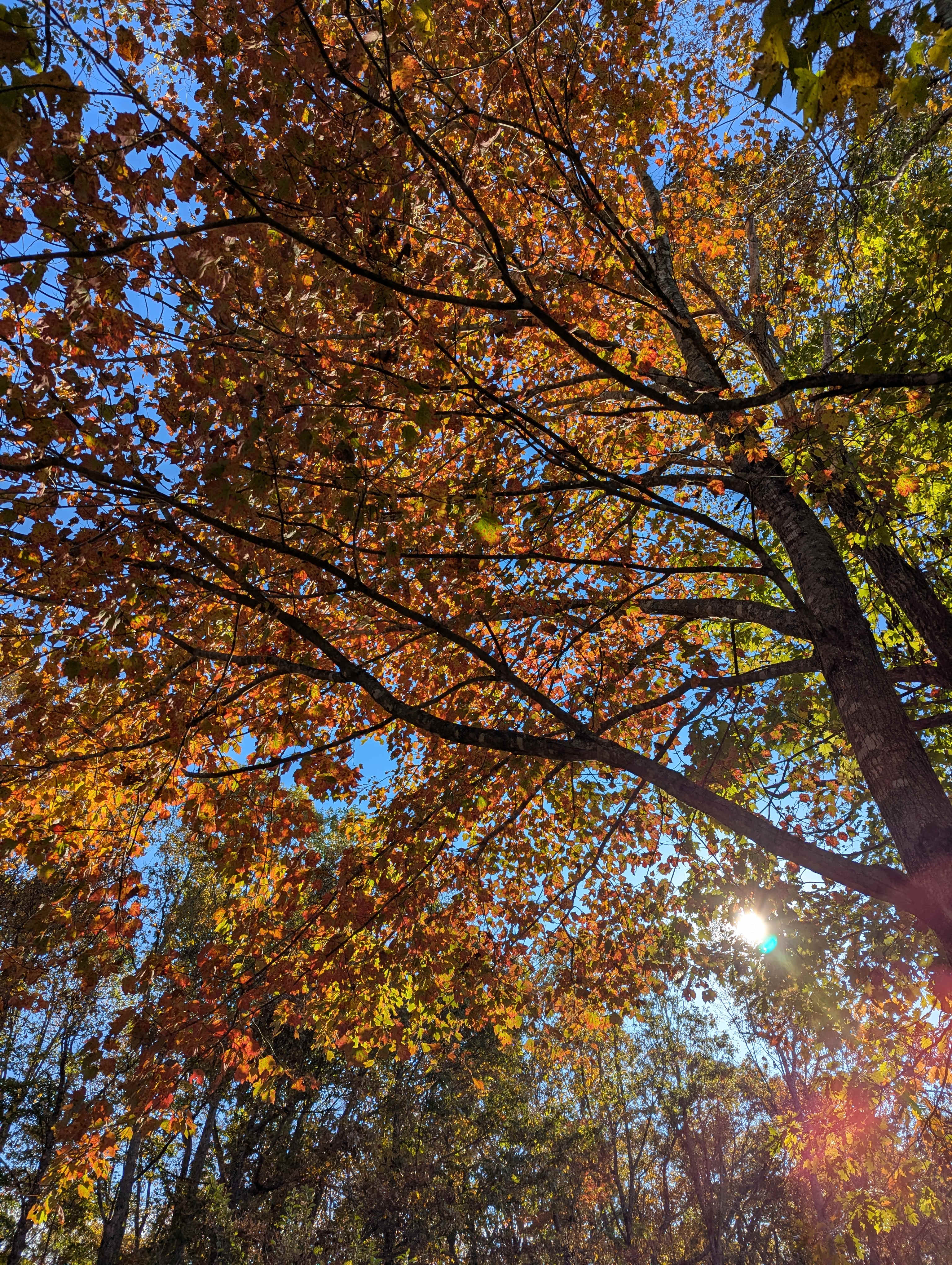 Campgrounds at Little Switzerland