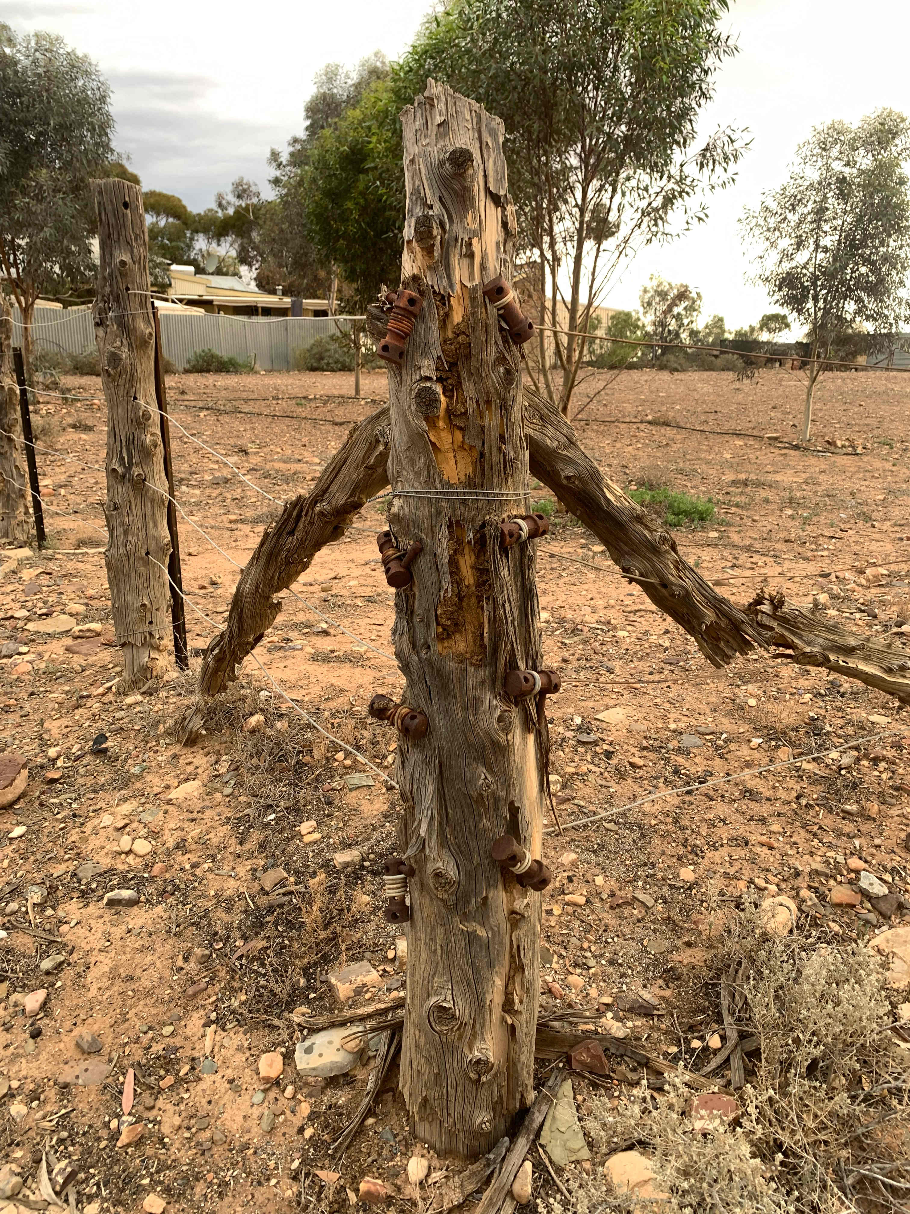 Beltana Flinders Historic Town