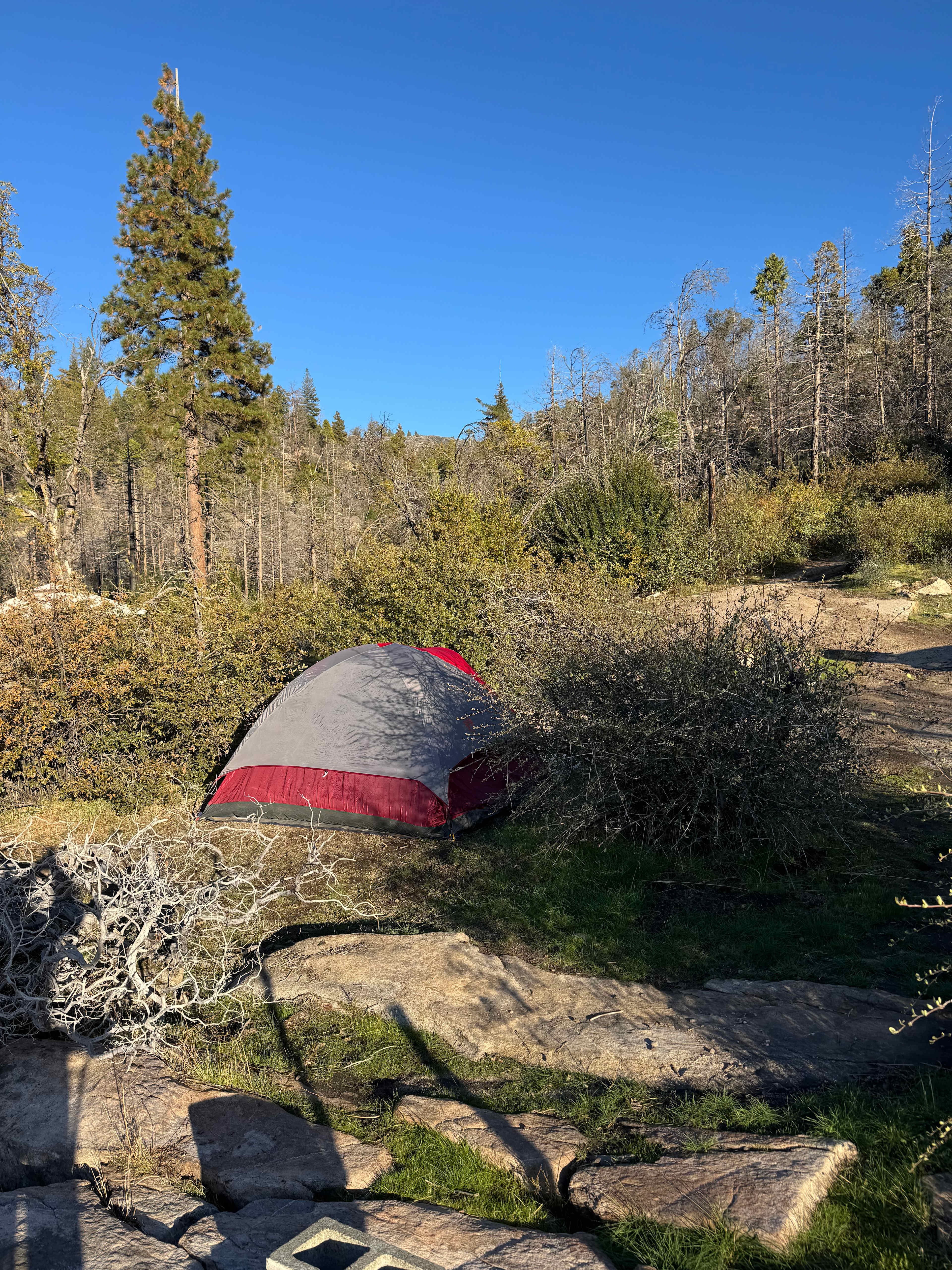 Musick Creek Falls  by Shaver Lake