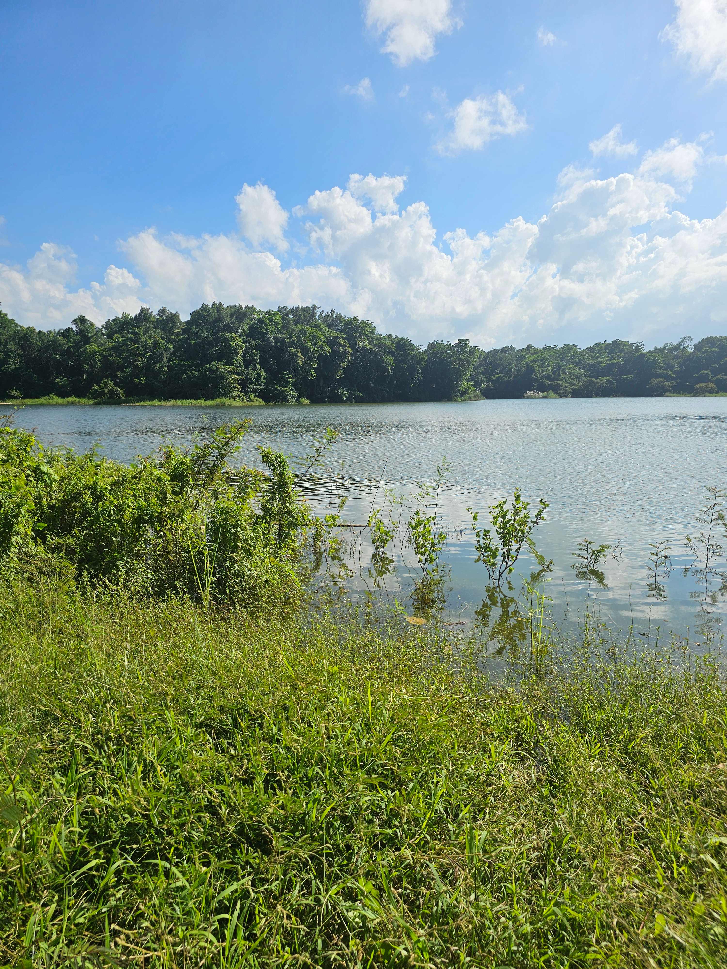 Guajataca Lake Getaway farm