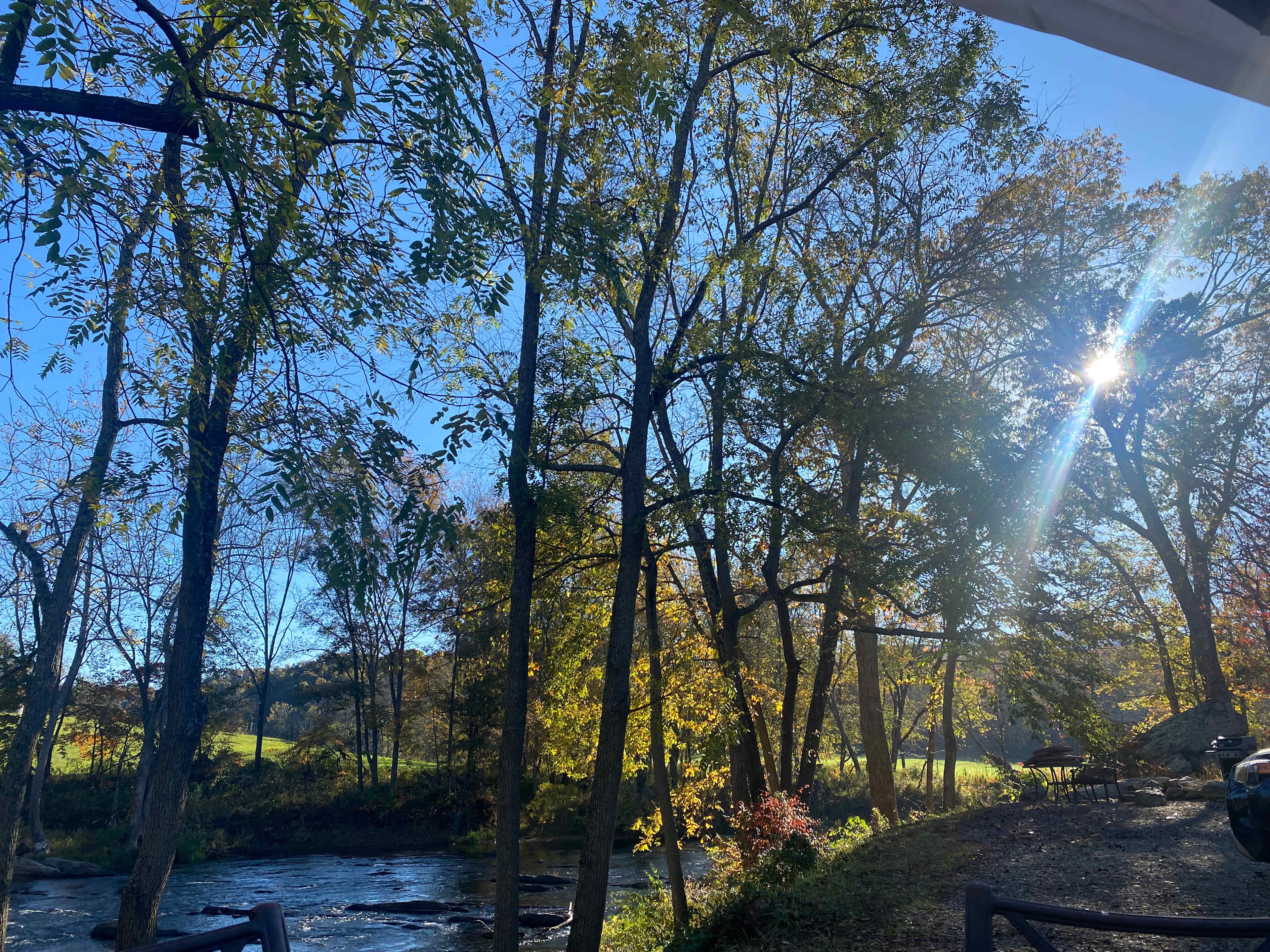 Smoky Mtn Mangalitsa River Ranch