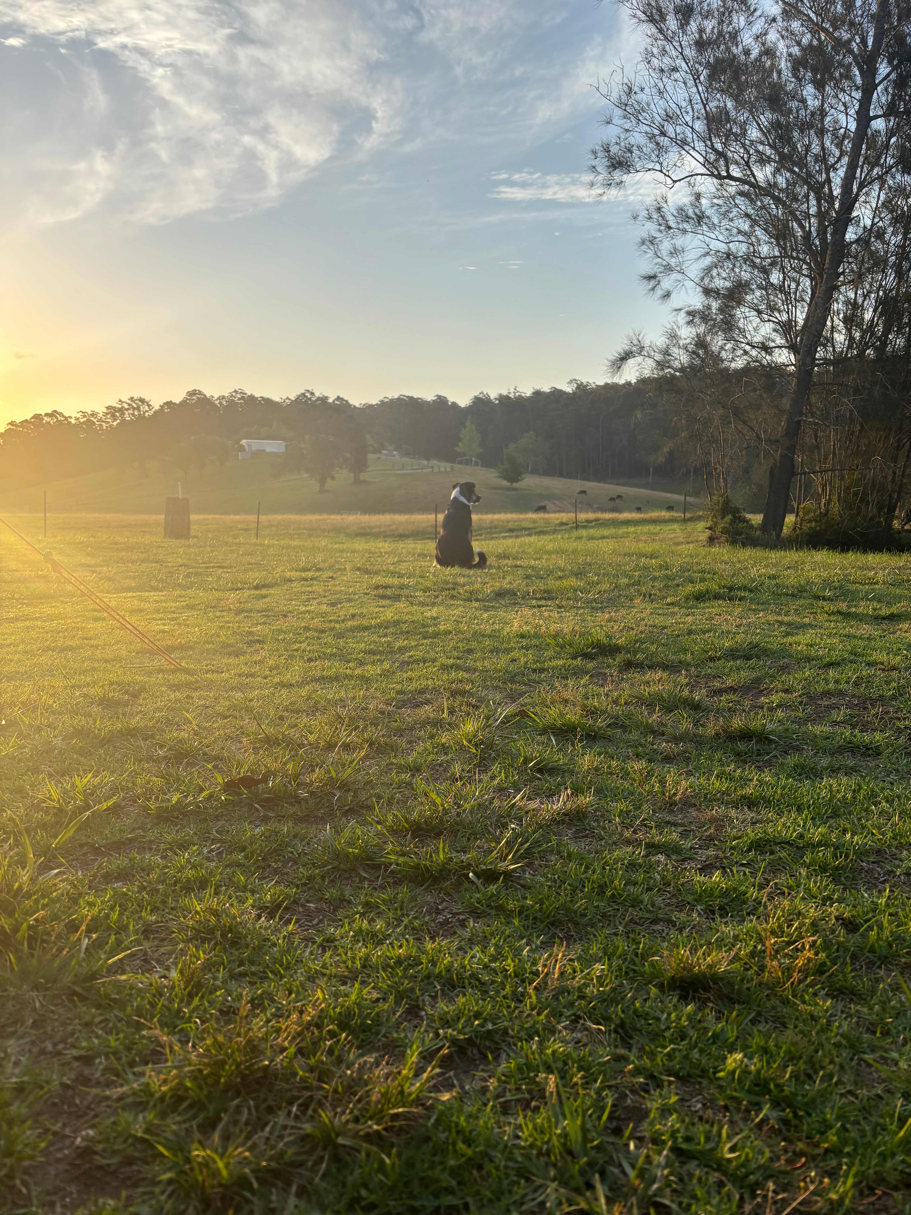 Glennbrooke River Camp