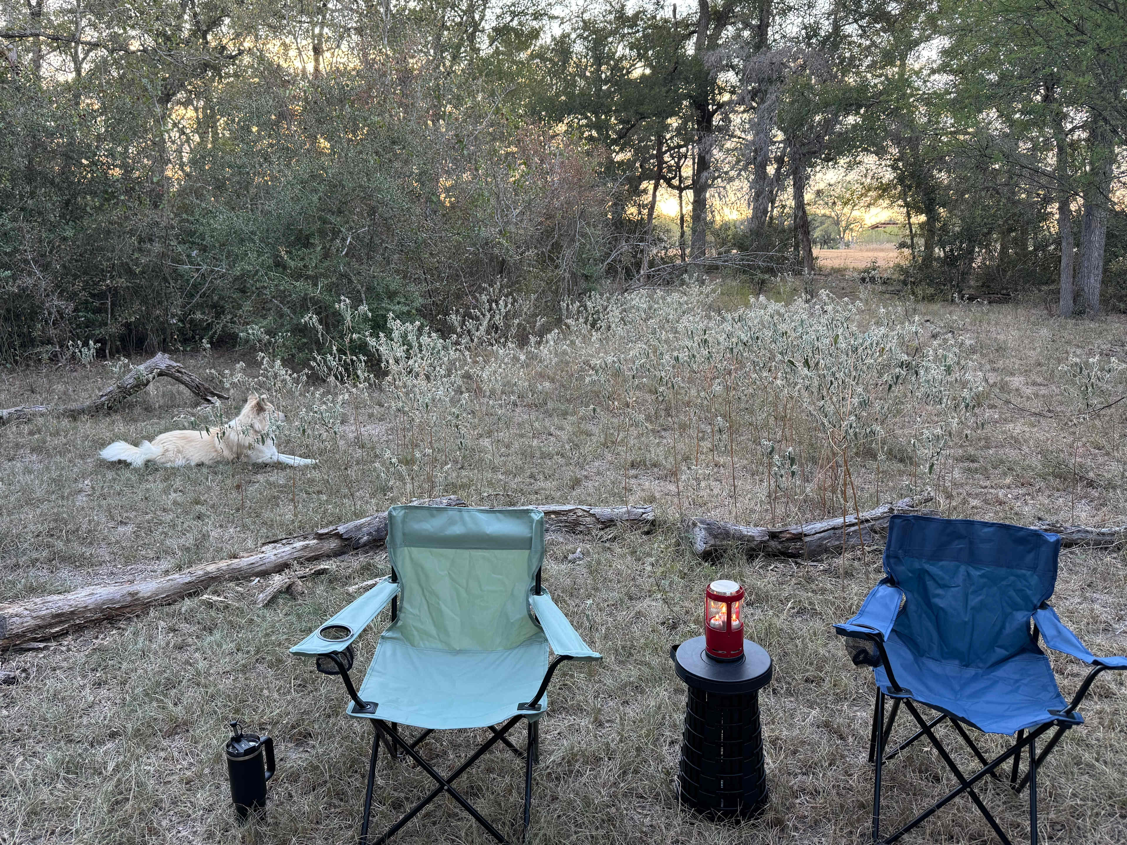 Starlove Ranch & Animal Sanctuary