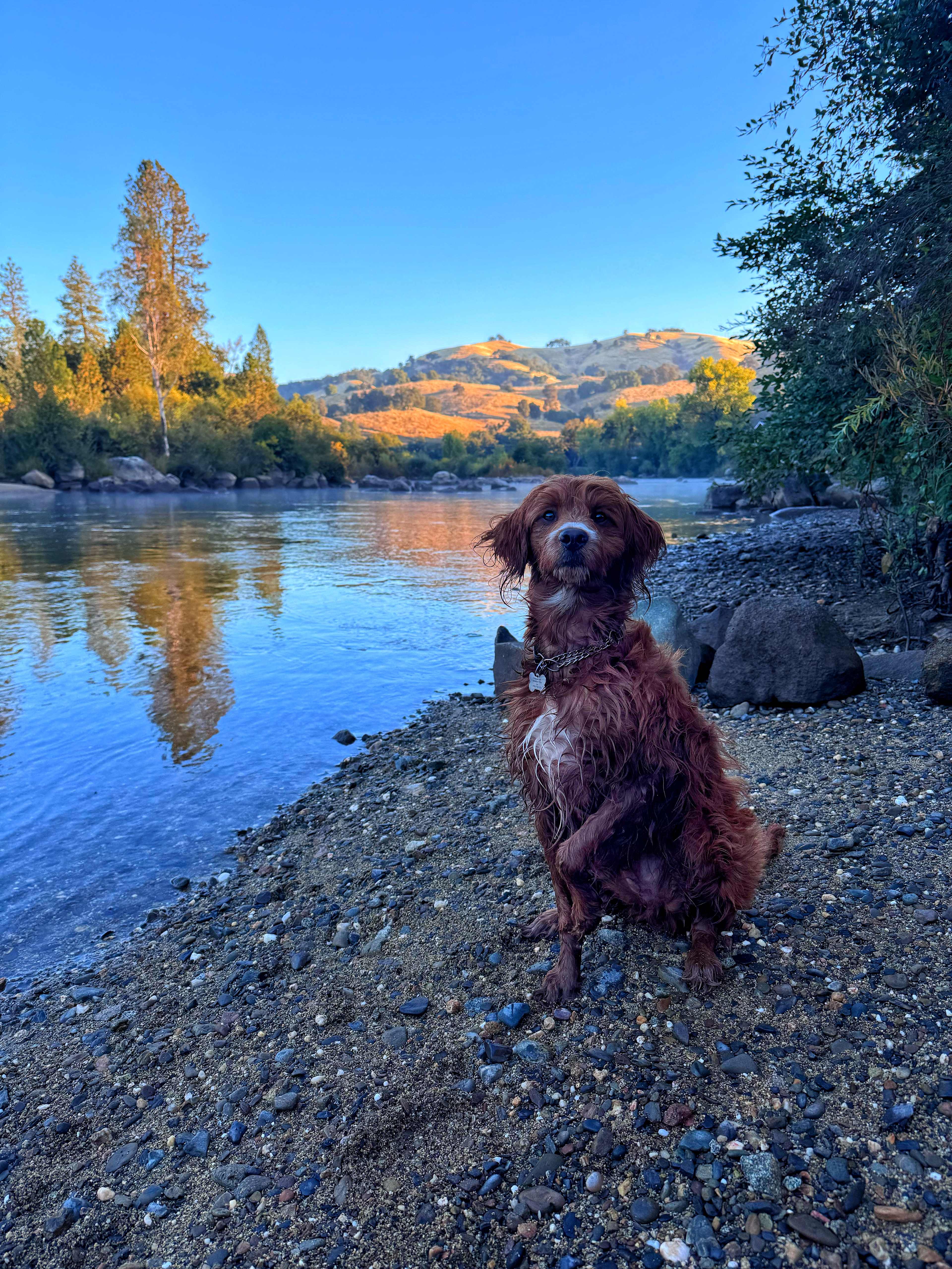 RockNWater Cove Camping