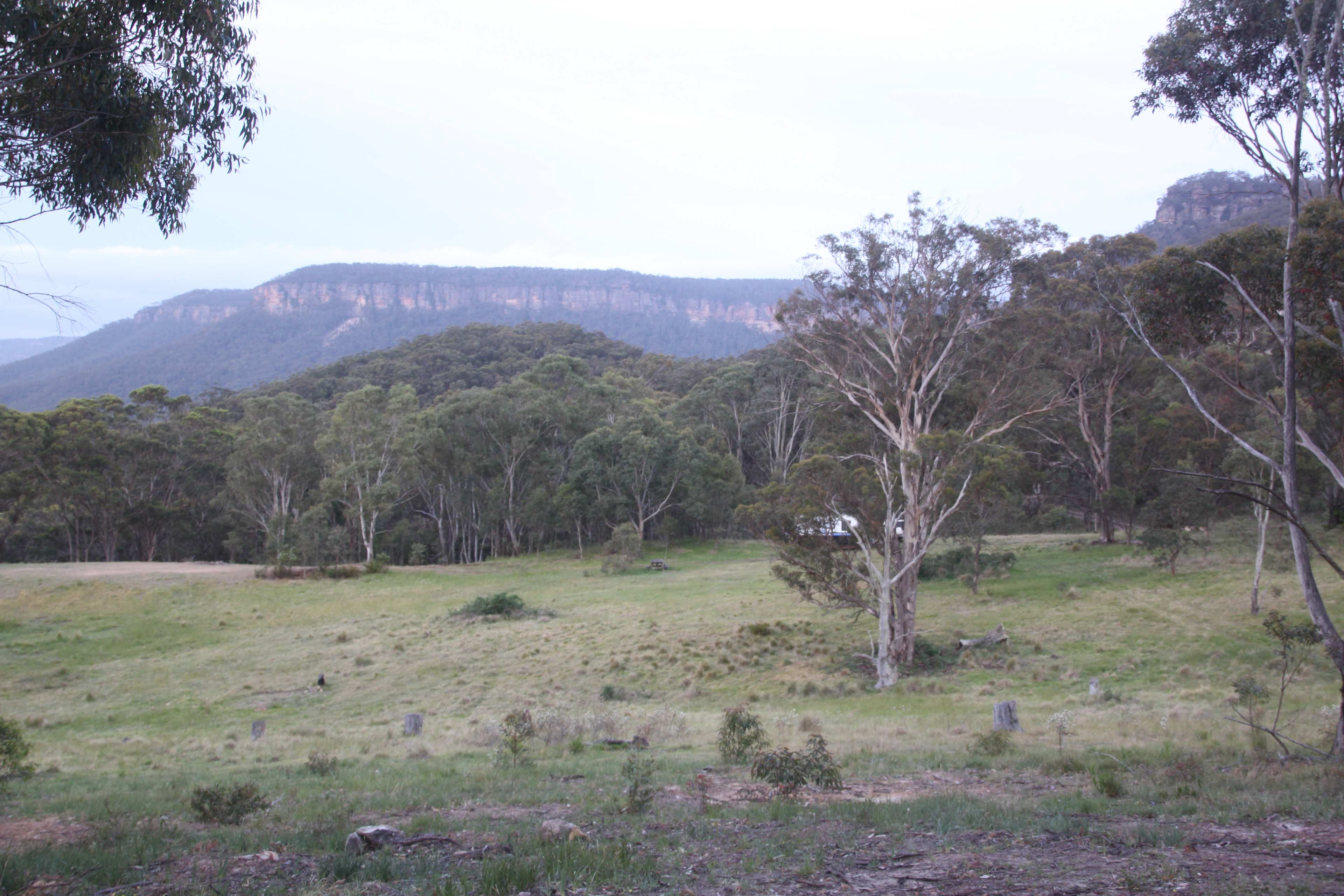 Wildwoods - Private bush surrounds