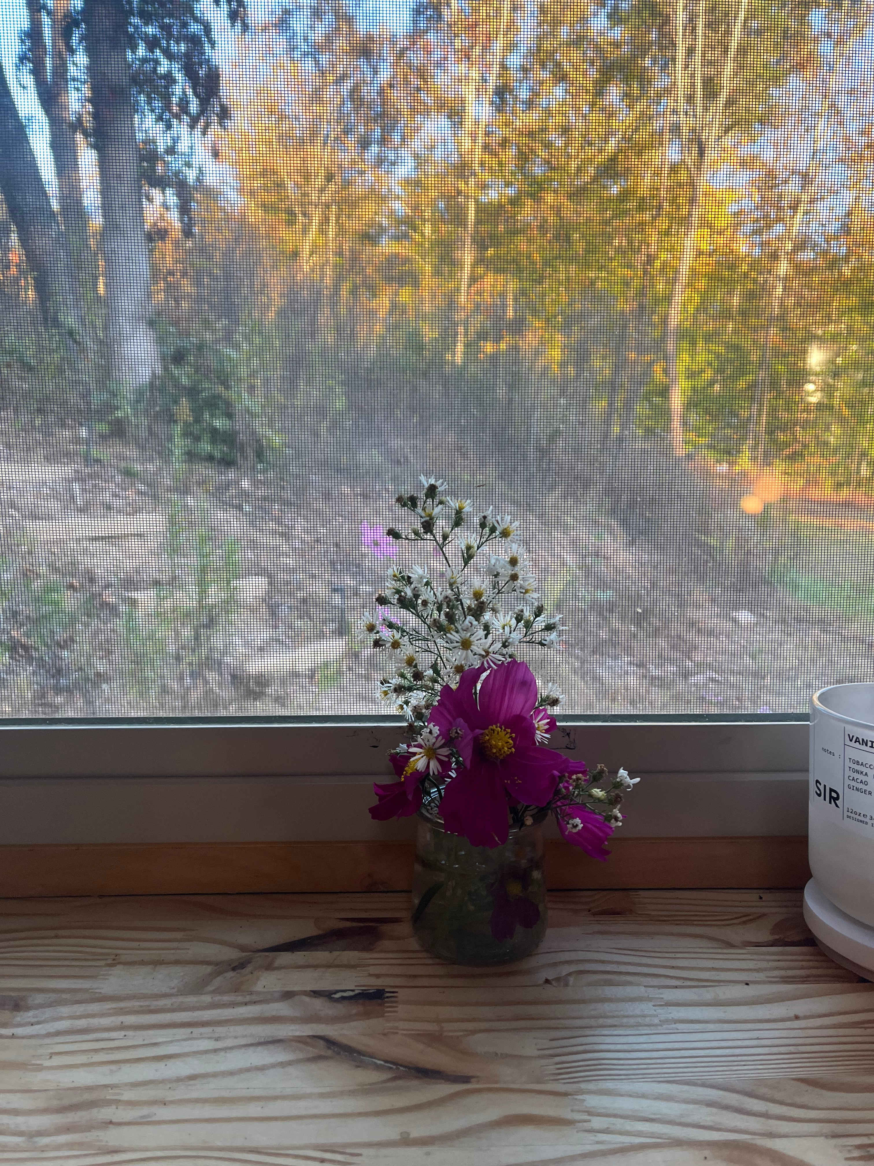 Forestside Yurt Near Marshall