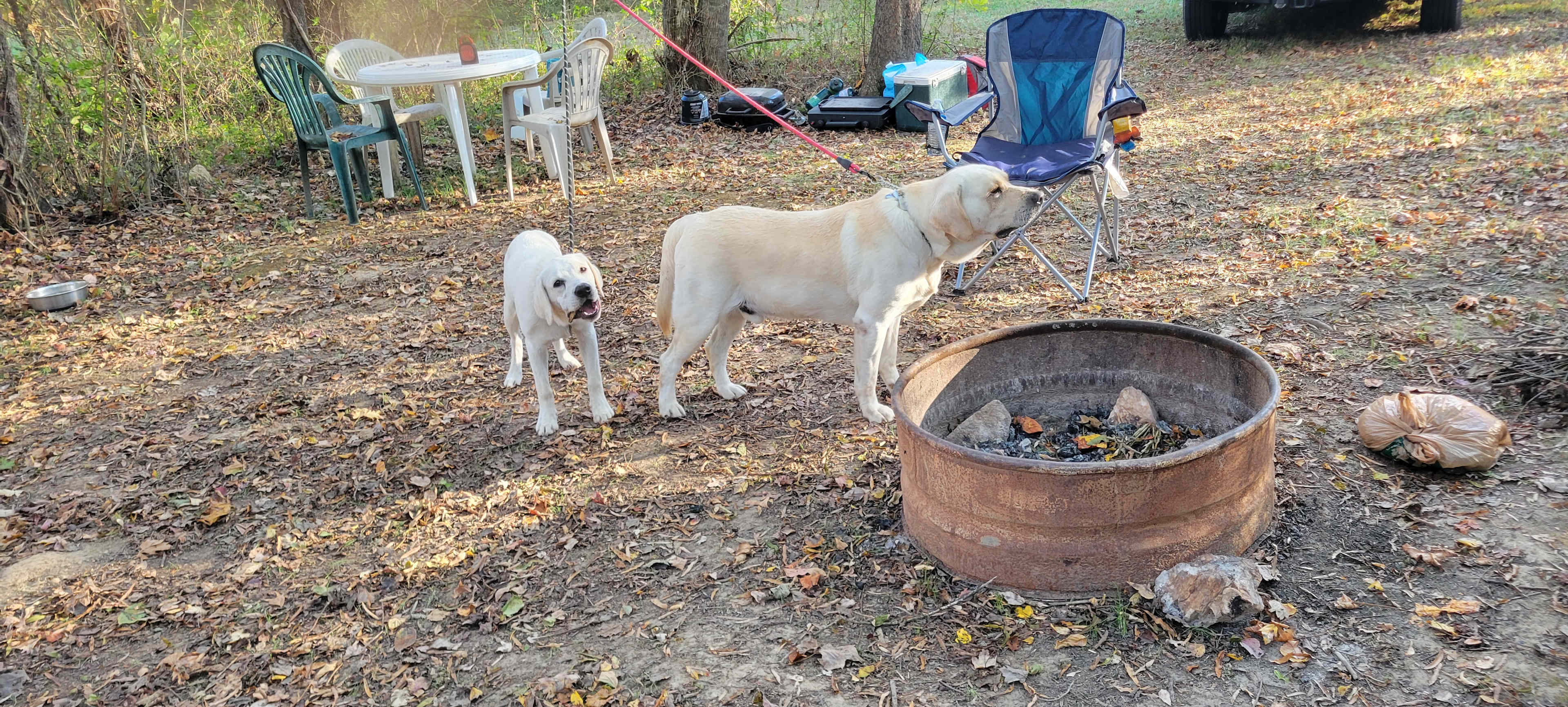 The Oasis at Harmon Creek Farms