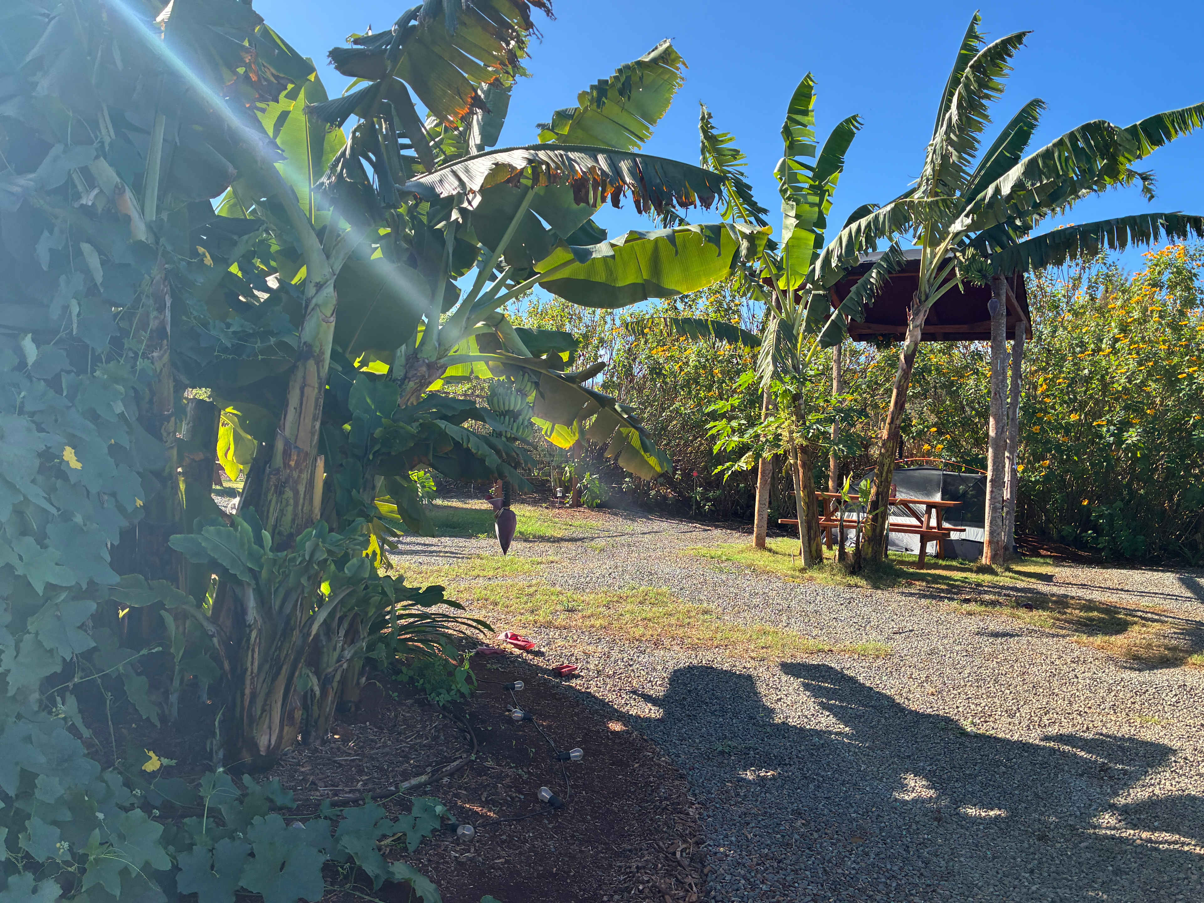 Living Circle Farms Hawaii