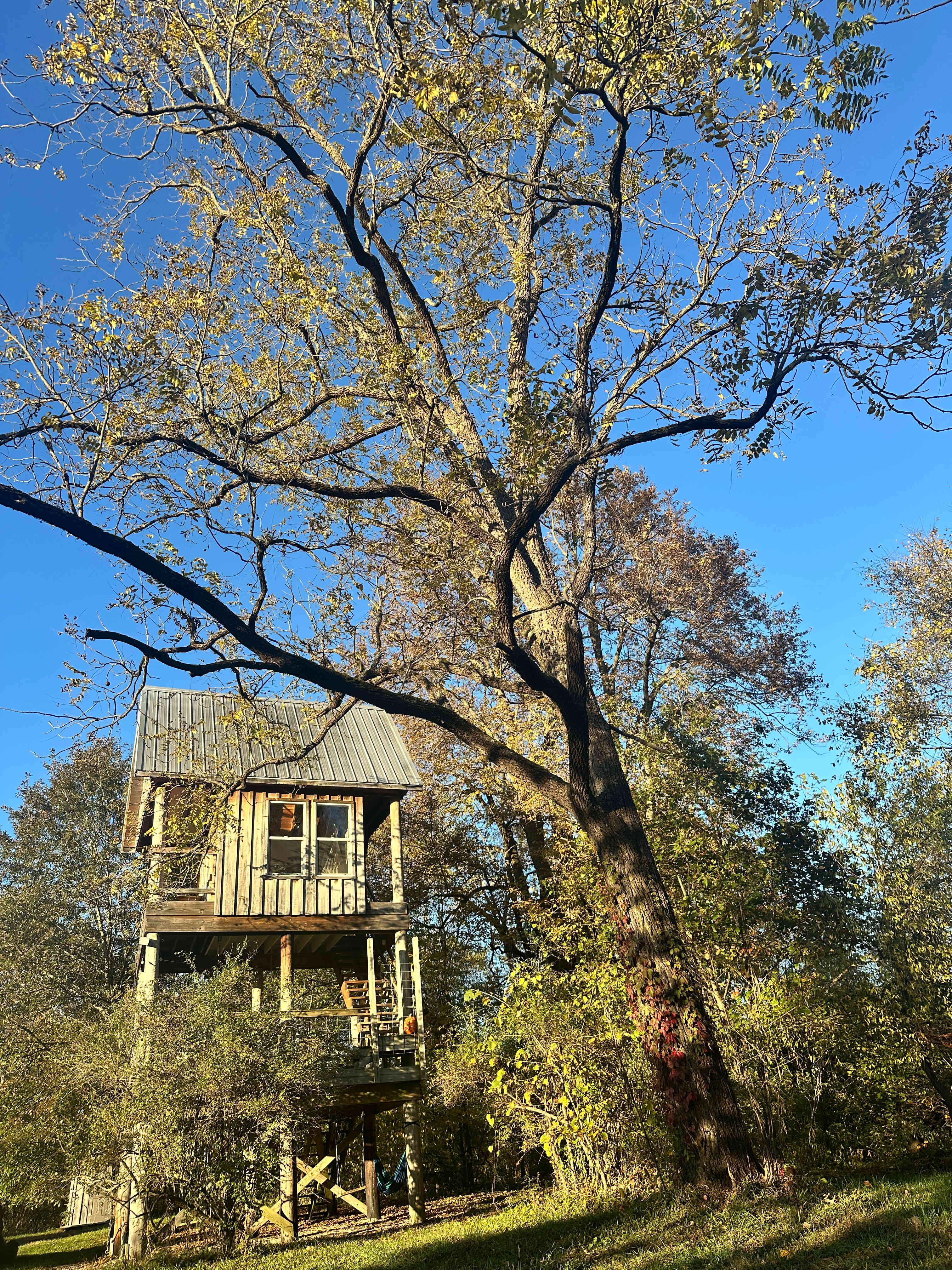 McKee Farm - Treehouses and Camping