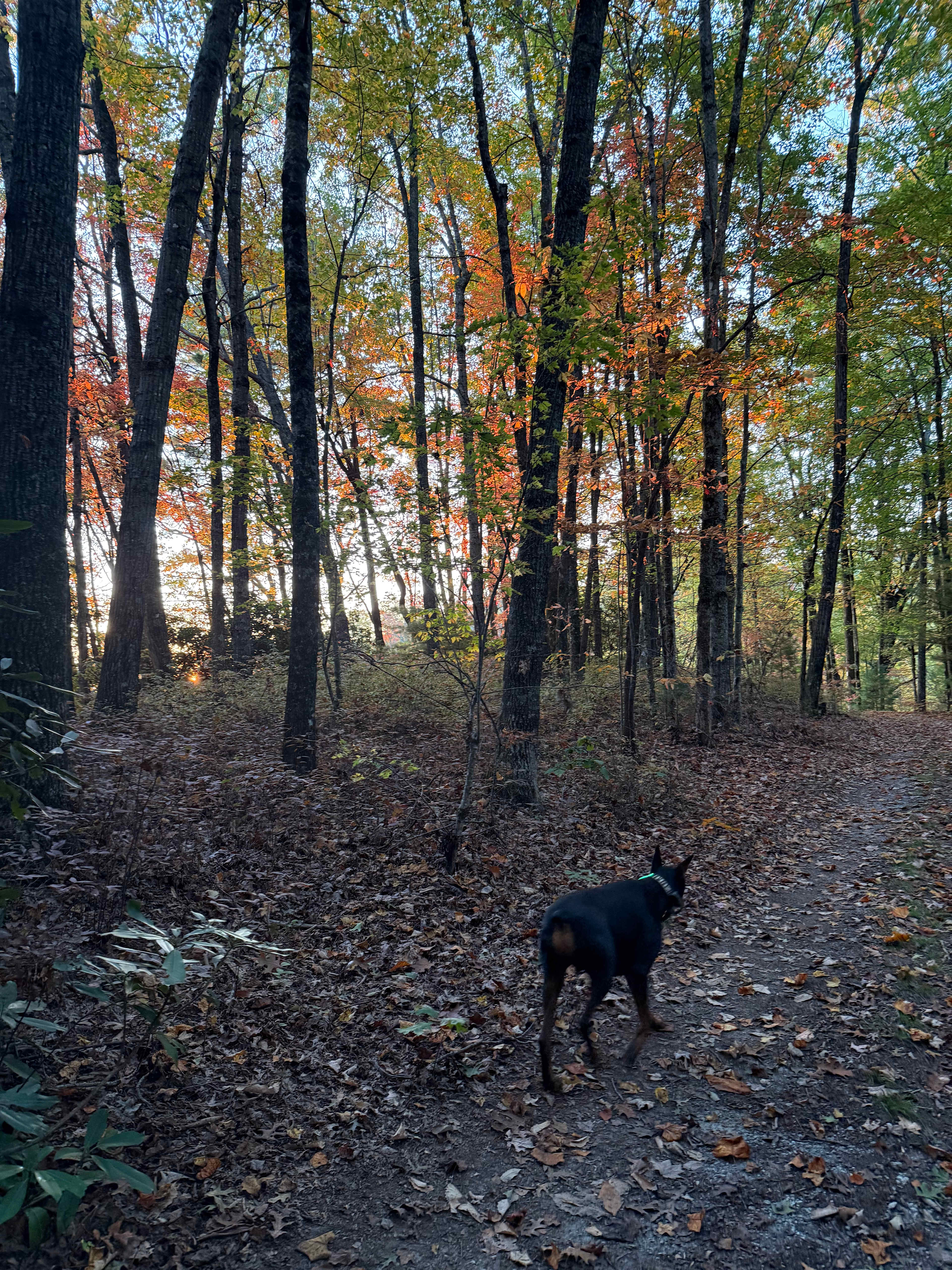 Indian Creek Rental's Mountain Camp