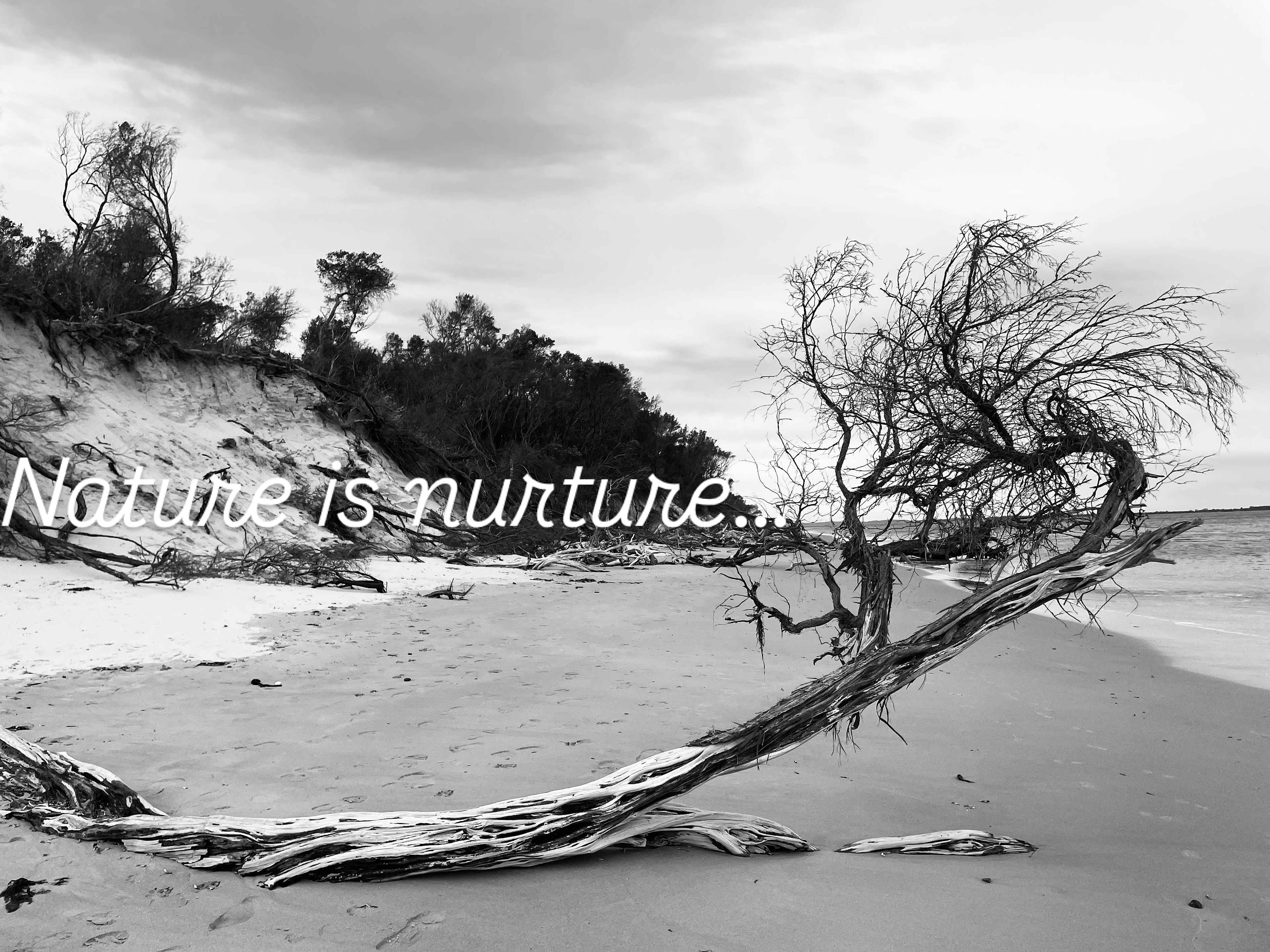 Beautiful beaches near by are stunning ! My fav is beach 16…. But be careful of the tide. Rock pools there are georgous. 